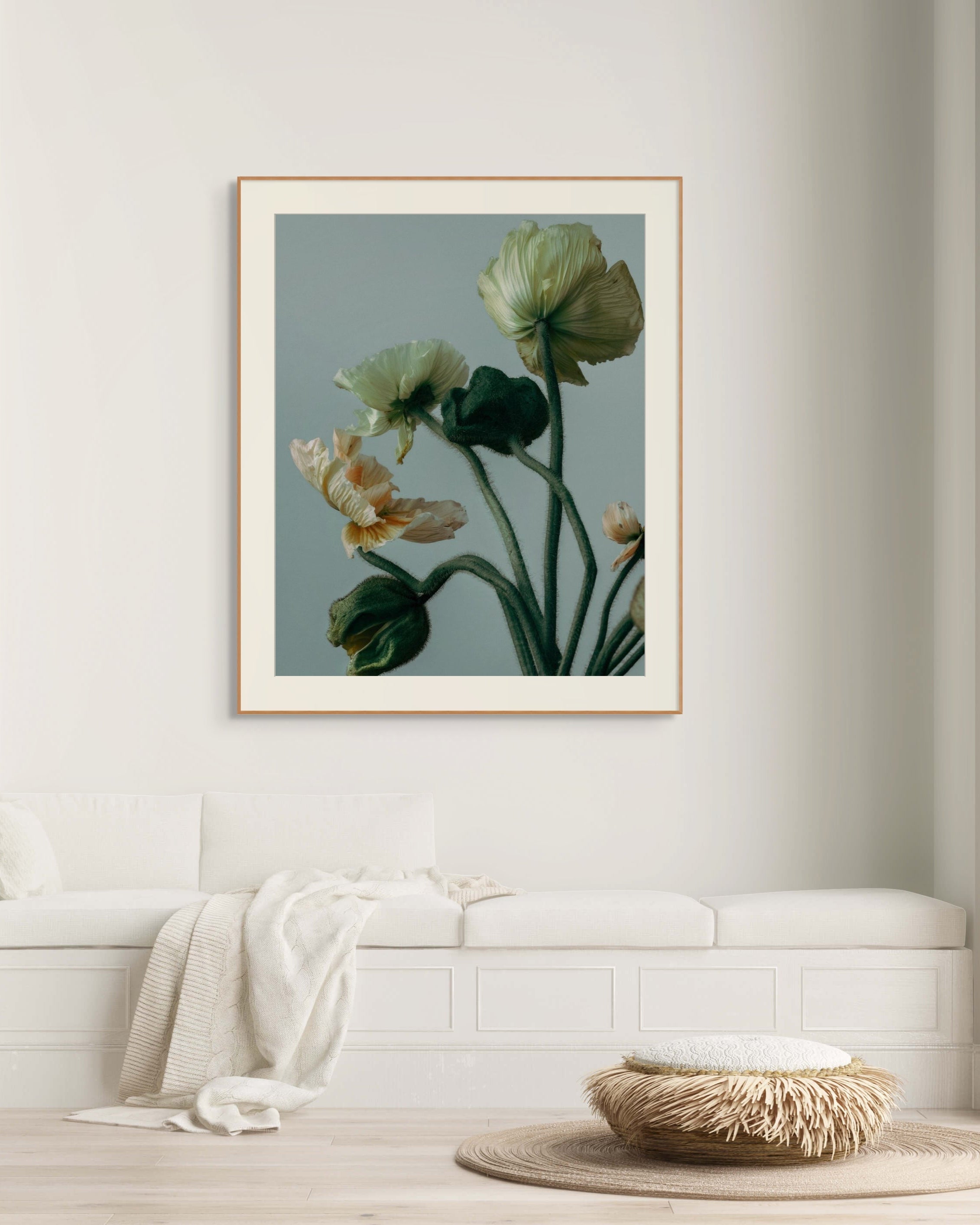Poppies