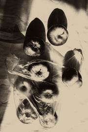 Apples by Jonė Reed, still life of apples with natural imperfections on a neutral backdrop.