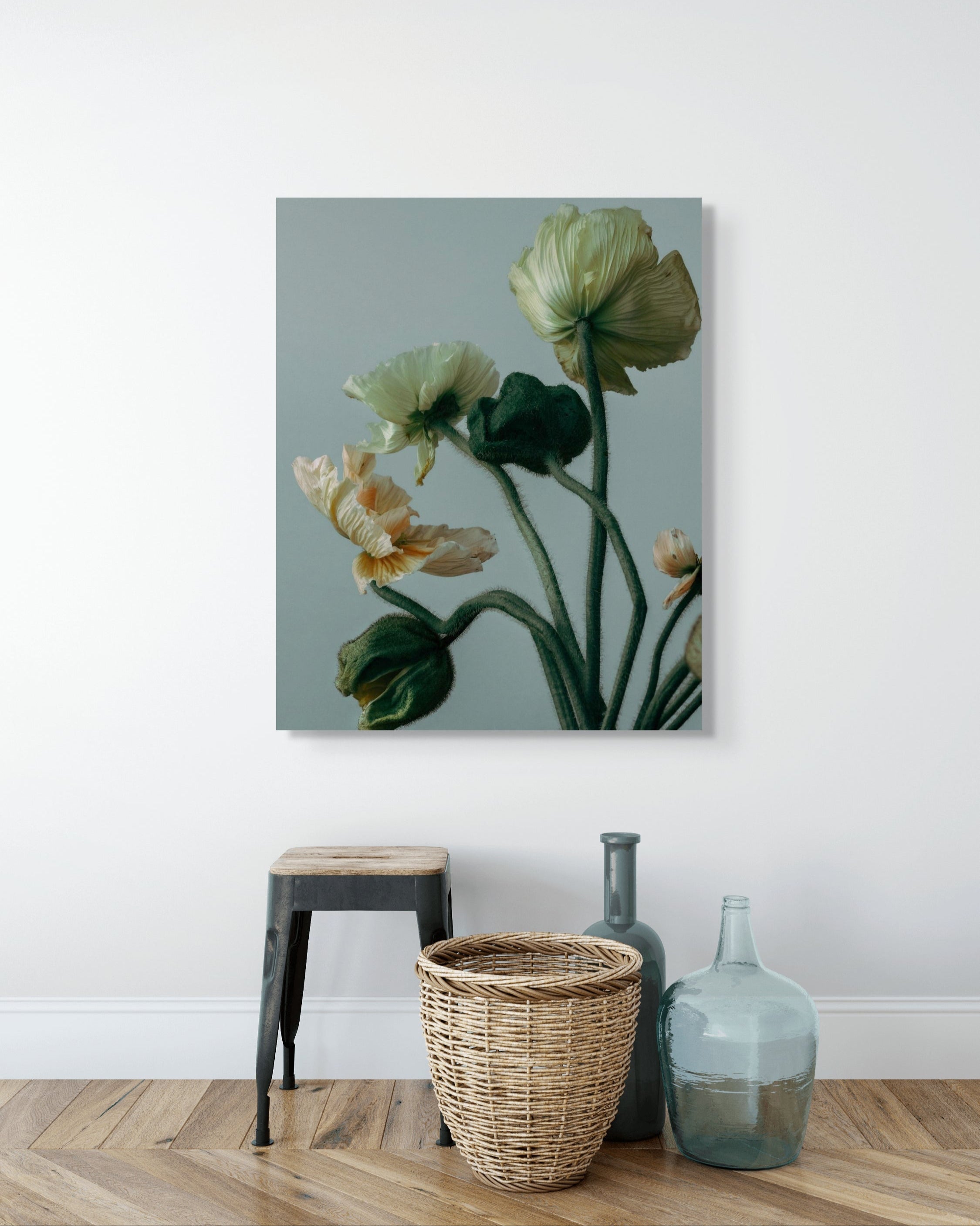 Poppies