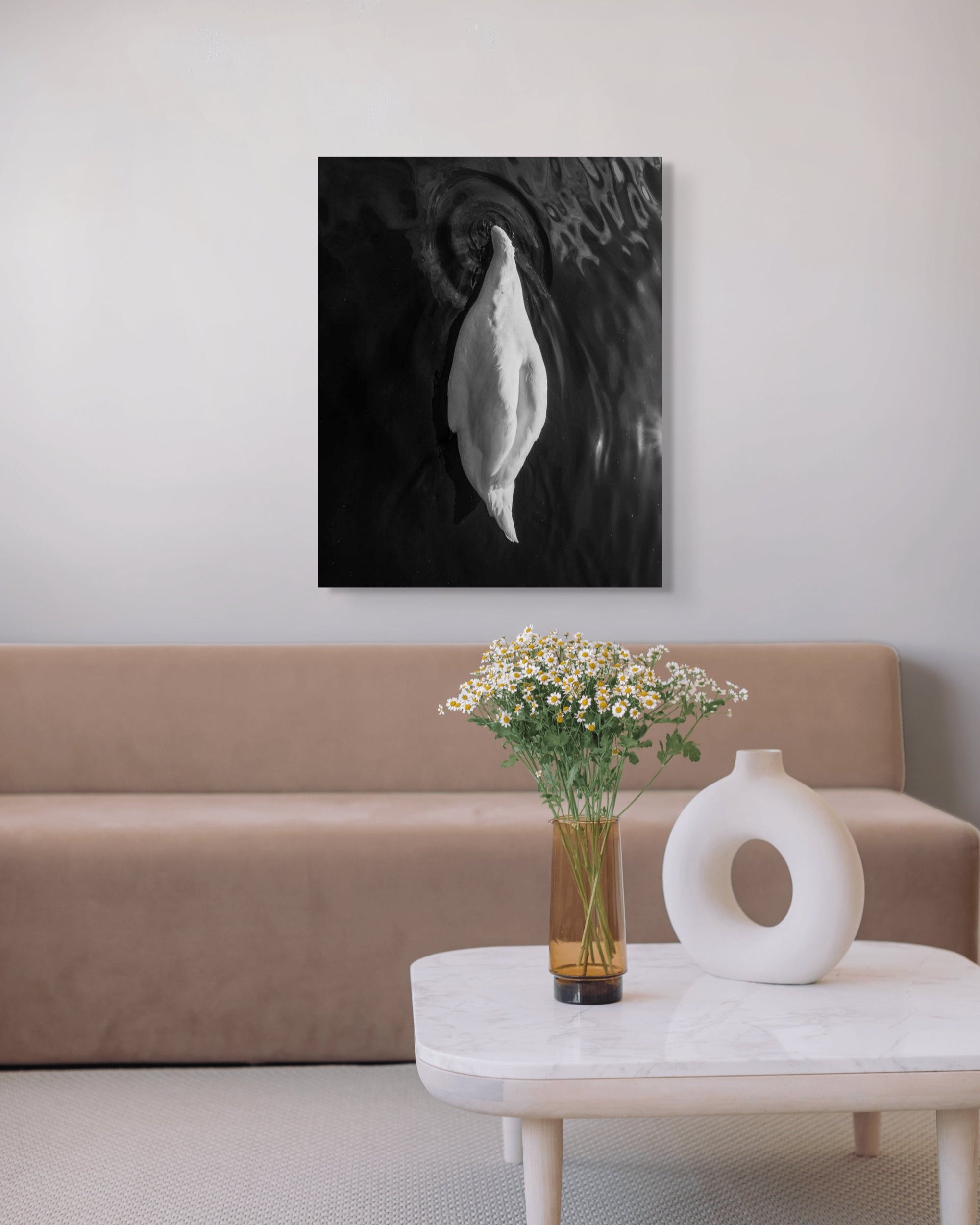 Swan