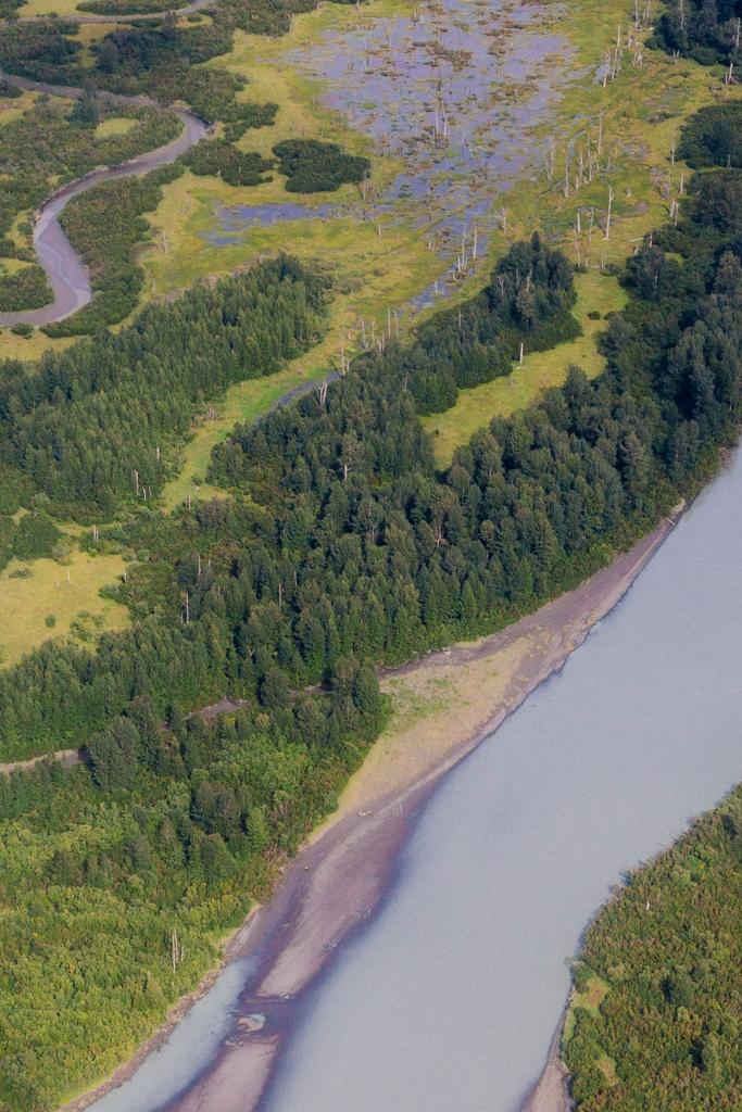 Alaska River I