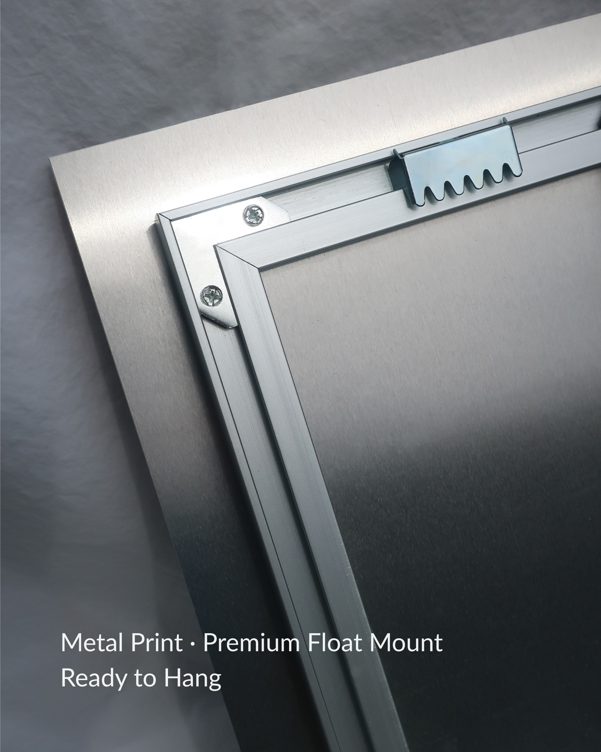 Metal print frame - Premium Float Mount Ready to Hang
