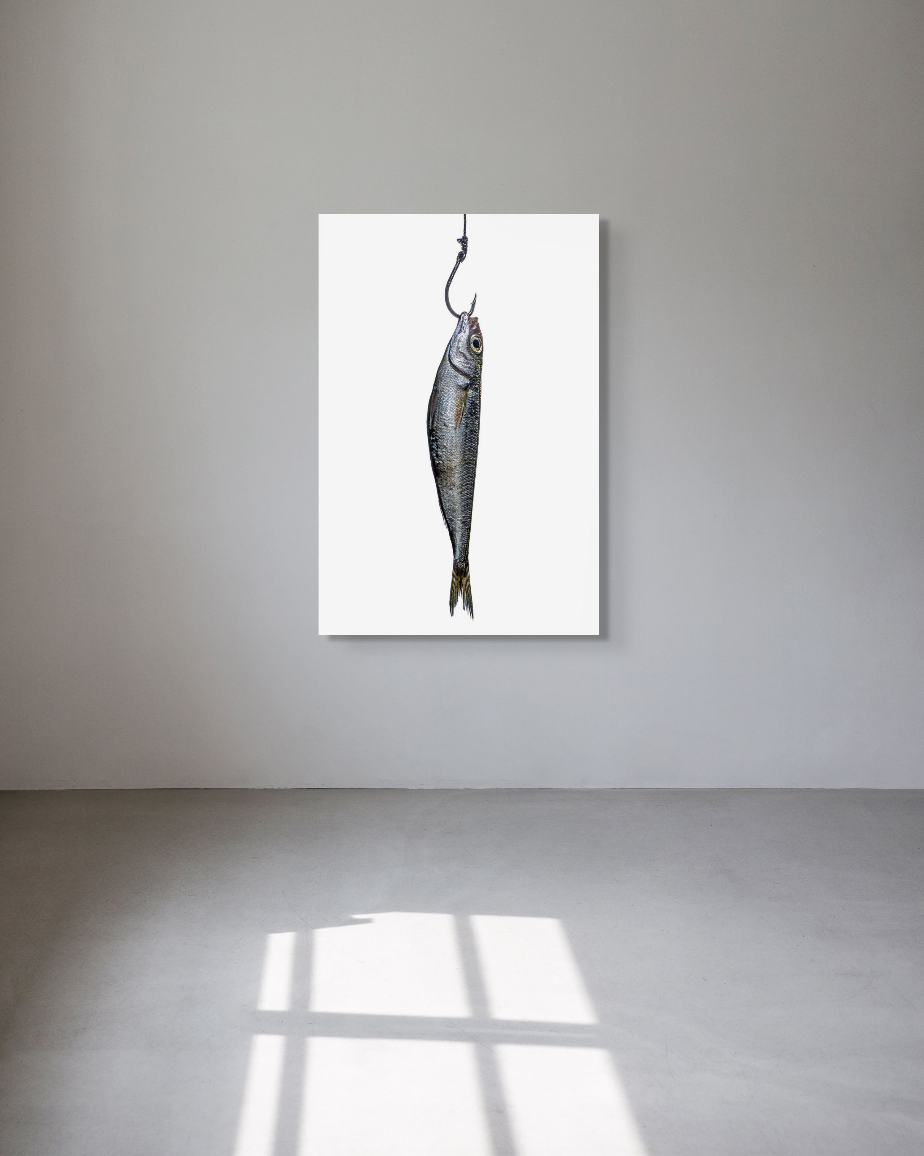 Framed picture of a fish on a hook against a white background