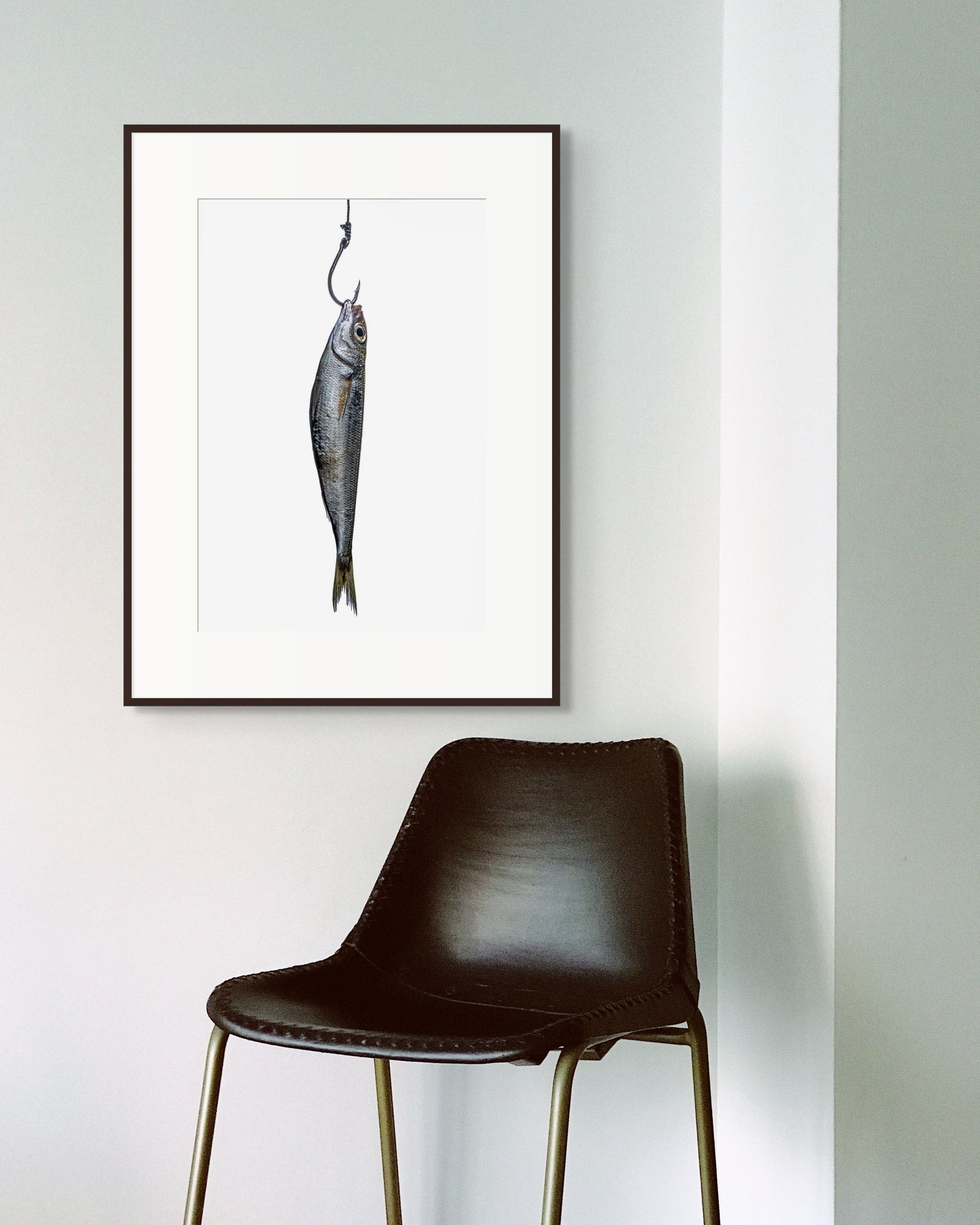 Anchovy by Sivan Roshianu – Limited edition fine art photograph, archival-quality print of a fish on a hook hanging on a wall next to a black chair.