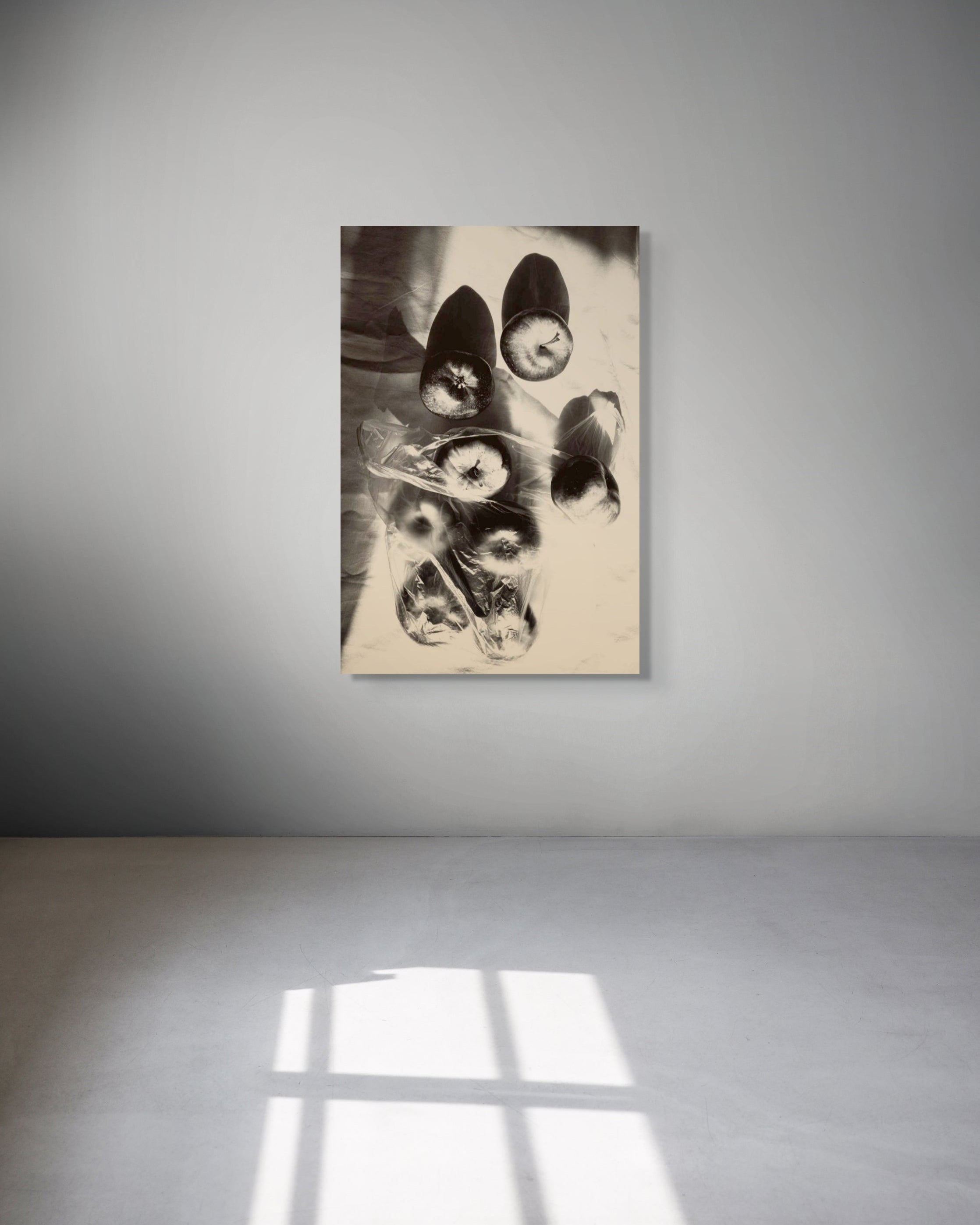 Framed black and white artwork on a gray wall