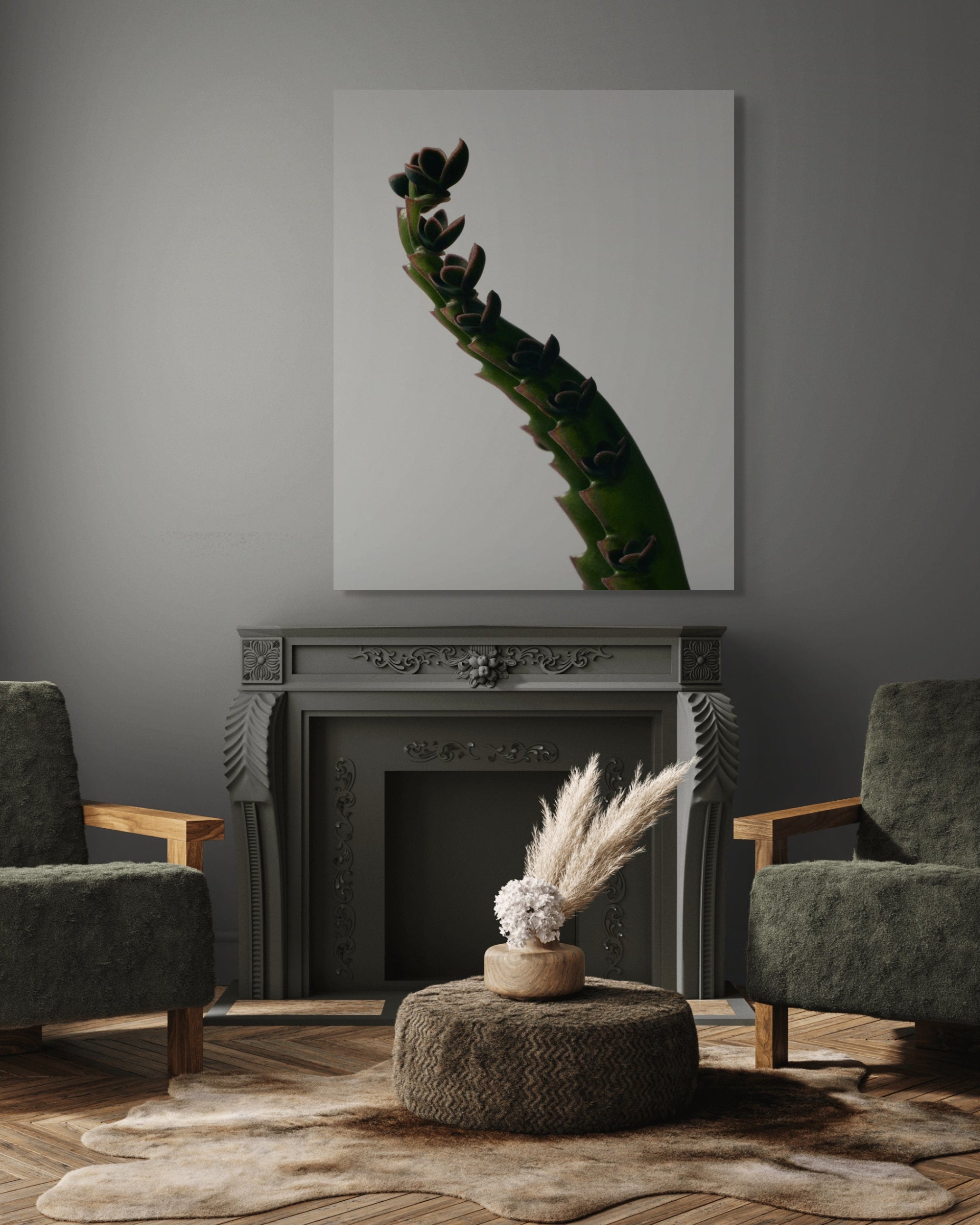 Aranto Alligator