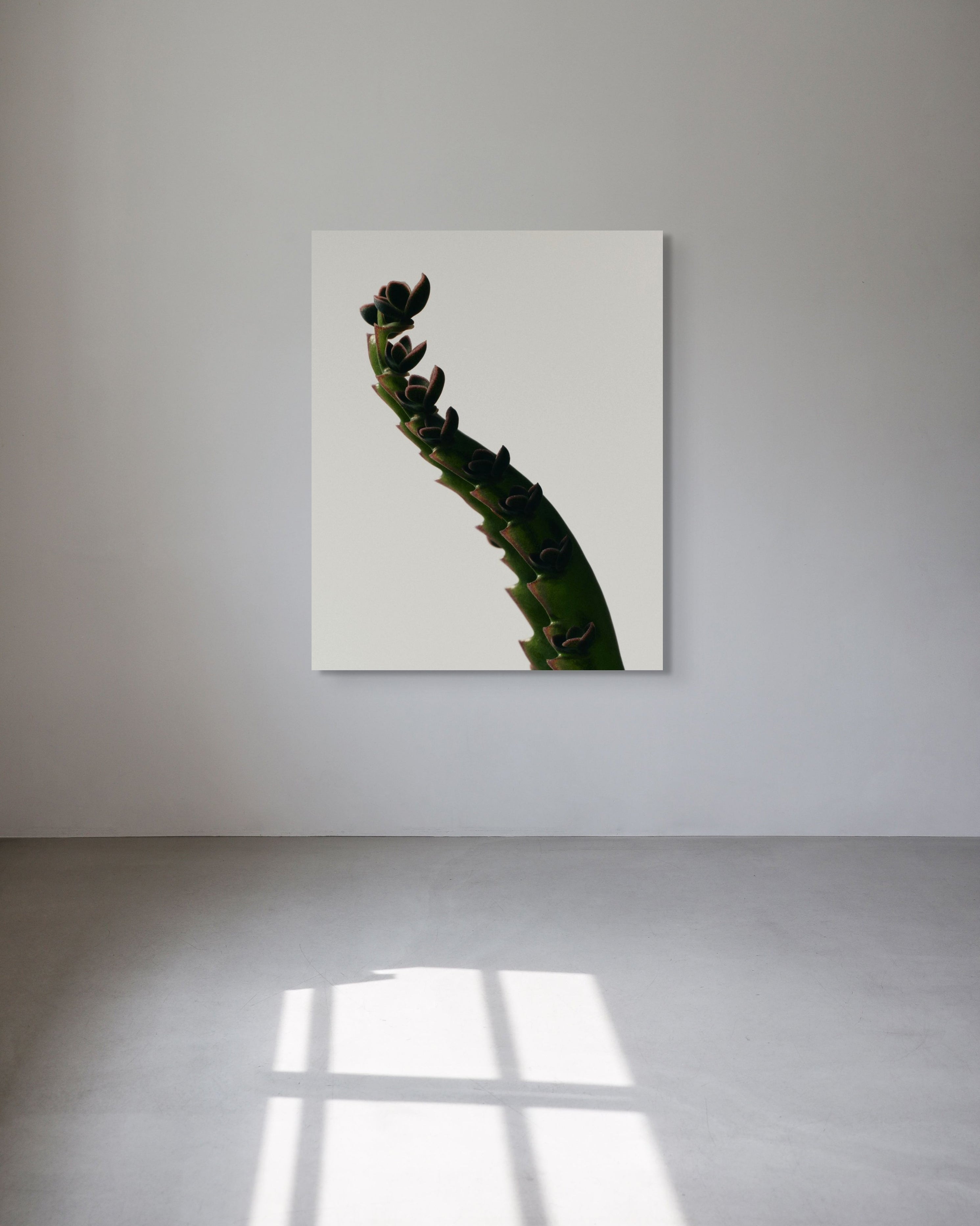 Metal print of a cactus on a white wall