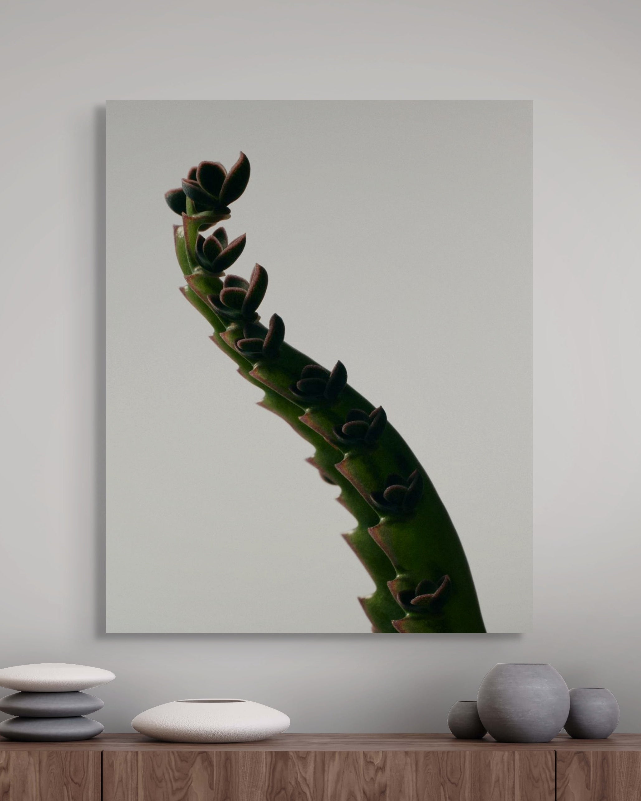 Metal print of a cactus on a wall above a wooden shelf with decorative items.