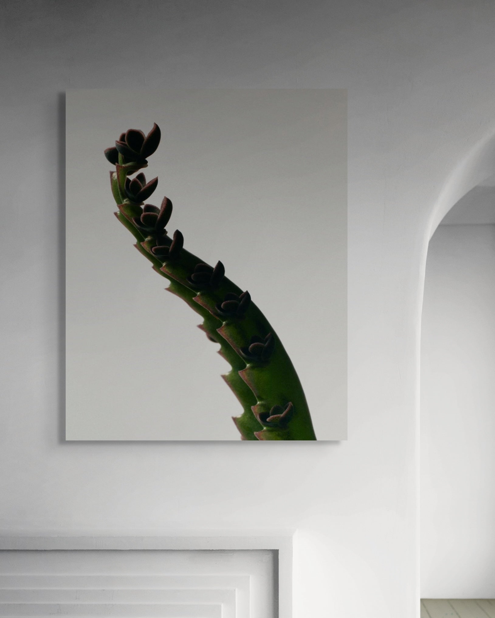 Metal print of a cactus plant on a white wall
