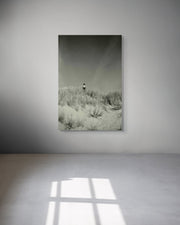 Framed photograph of a person standing on a snowy landscape in a minimalistic room.