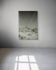 Framed photograph of a person in the dune on a white wall