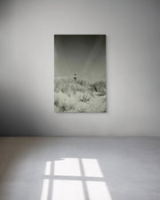 Metal print of a landscape with a rainbow hanging on a white wall.