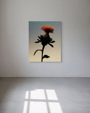 Metal print of a flower on a white wall