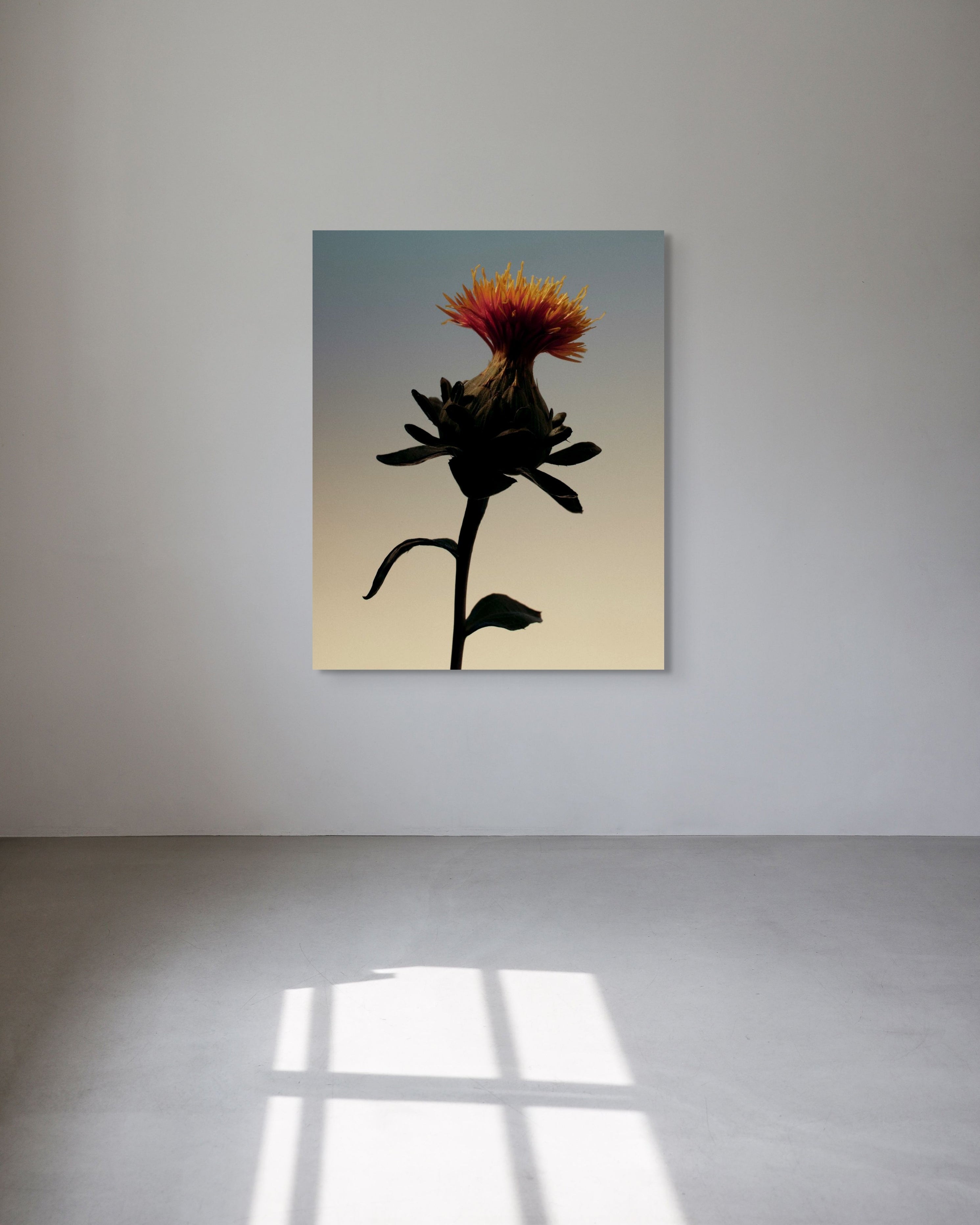 Metal print of a flower on a white wall