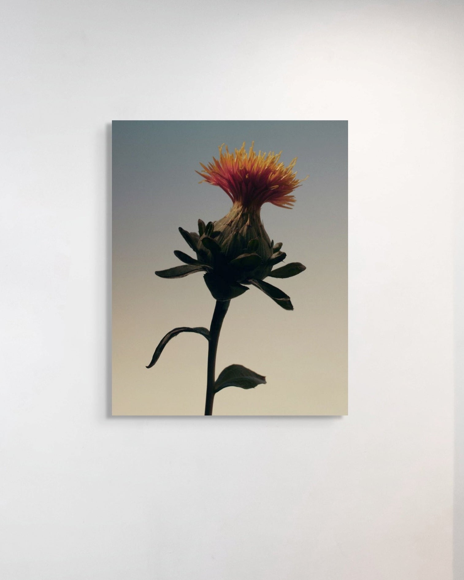 Floral artwork with a red flower on a beige background