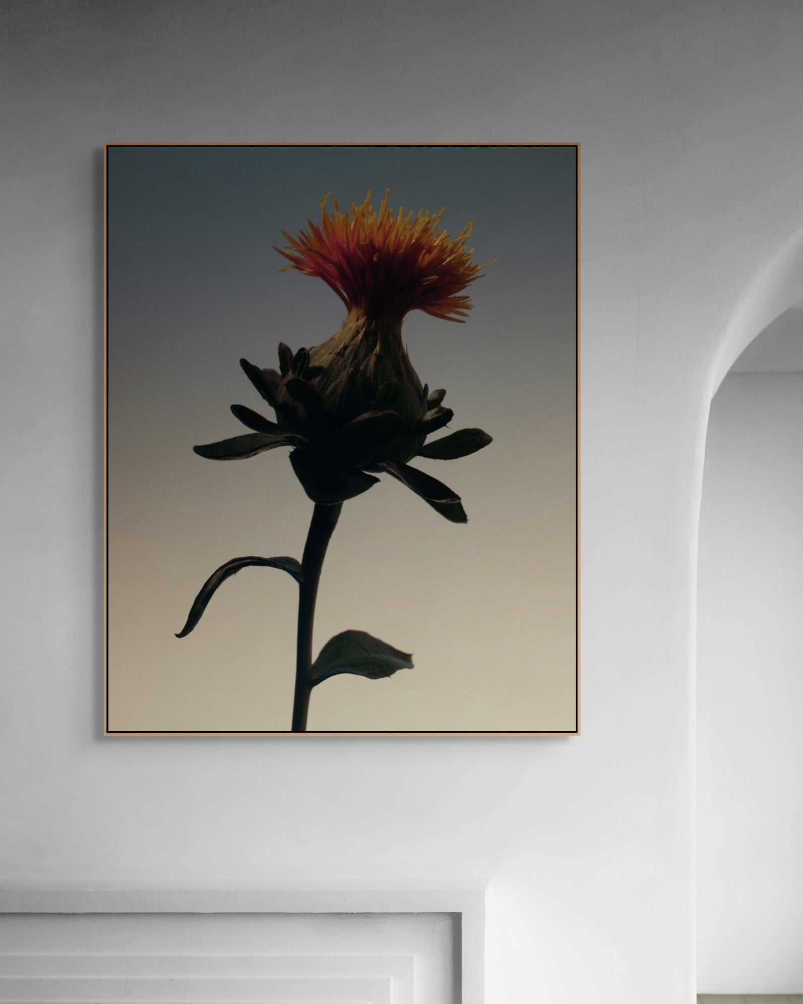 Framed artwork of a flower on a wall in a minimalistic room.