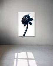 Framed artwork of a black flower on a white background, displayed on a gray wall.