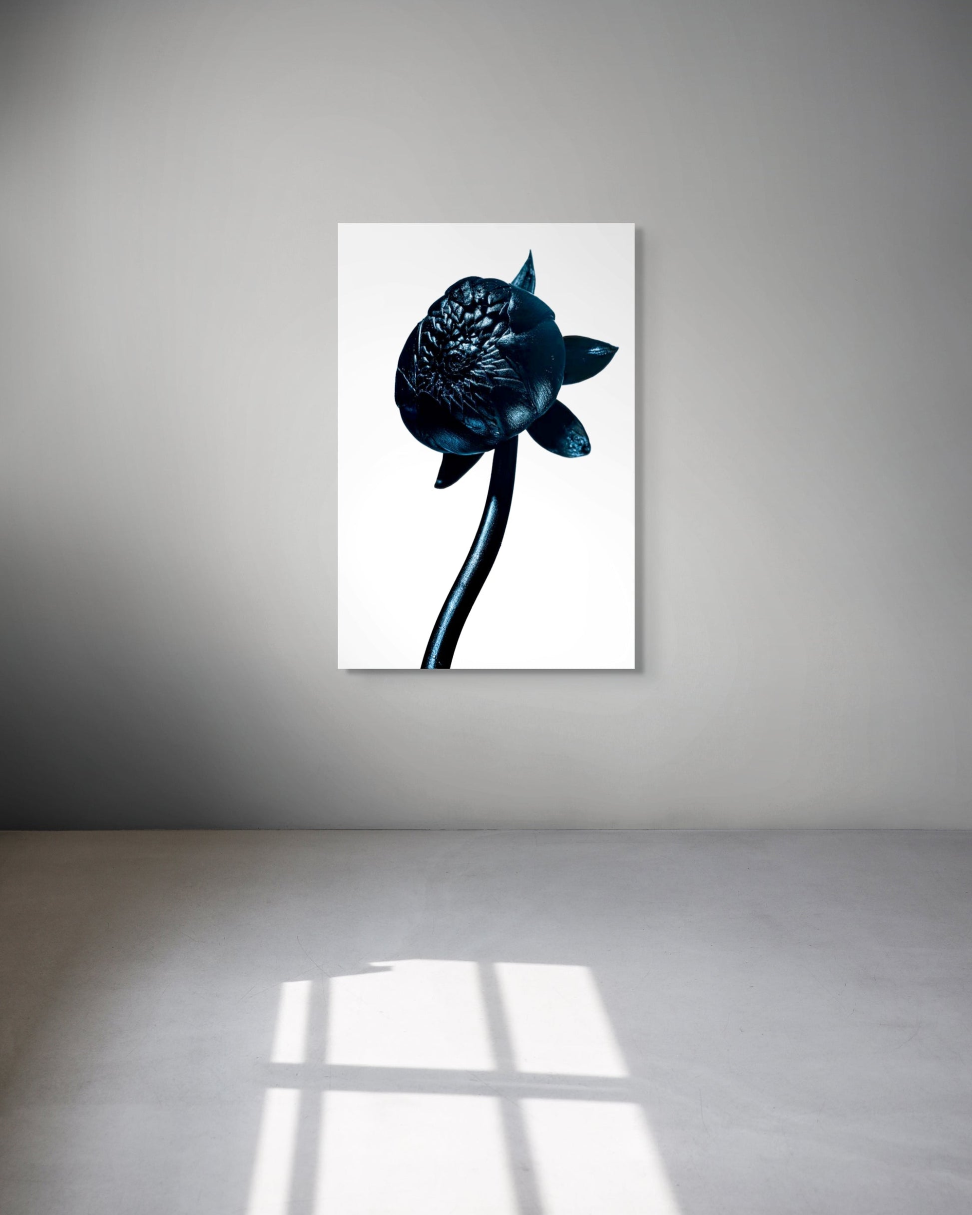 Framed artwork of a black flower on a white background, displayed on a gray wall.