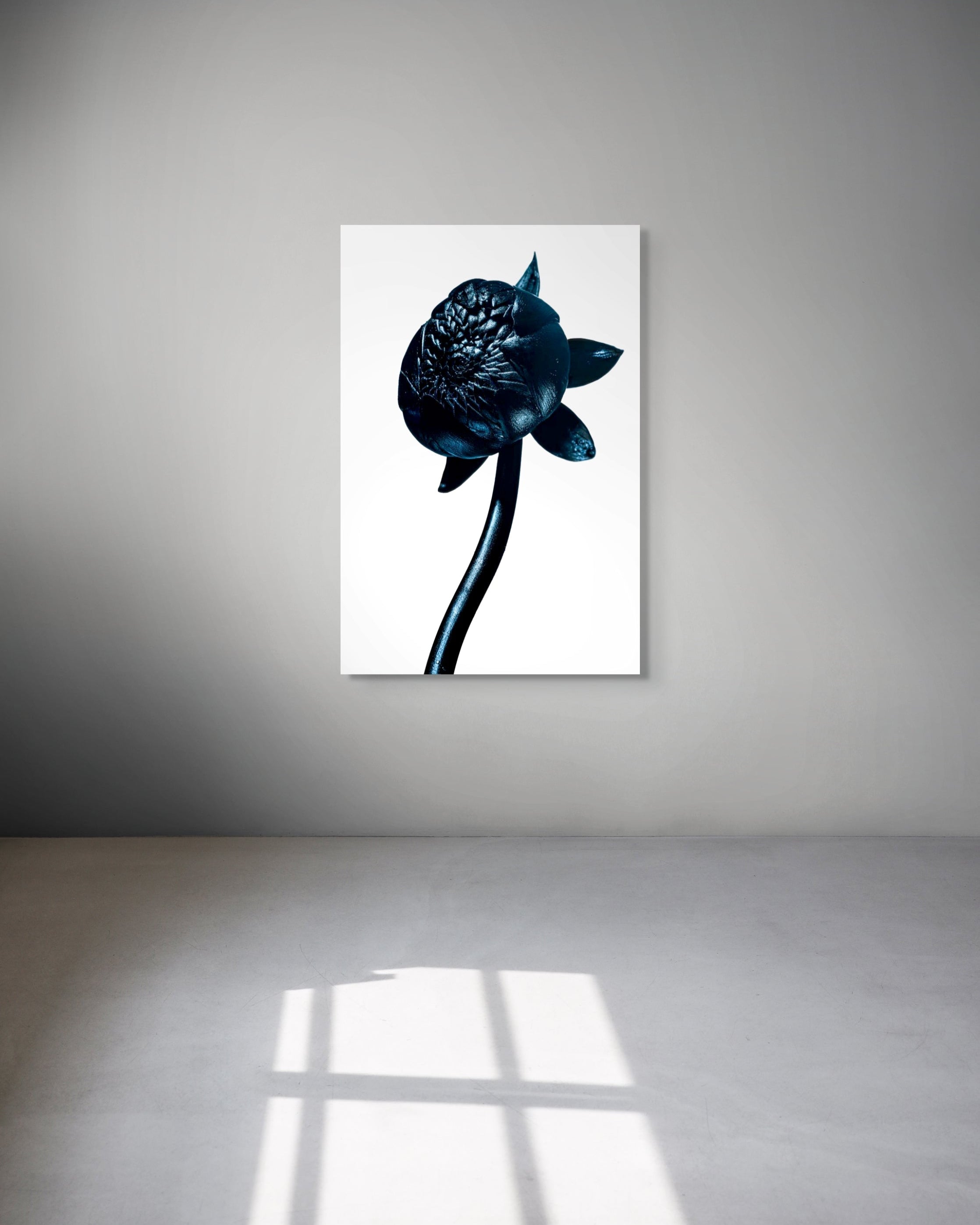 Framed artwork of a black flower on a white background, displayed on a gray wall.