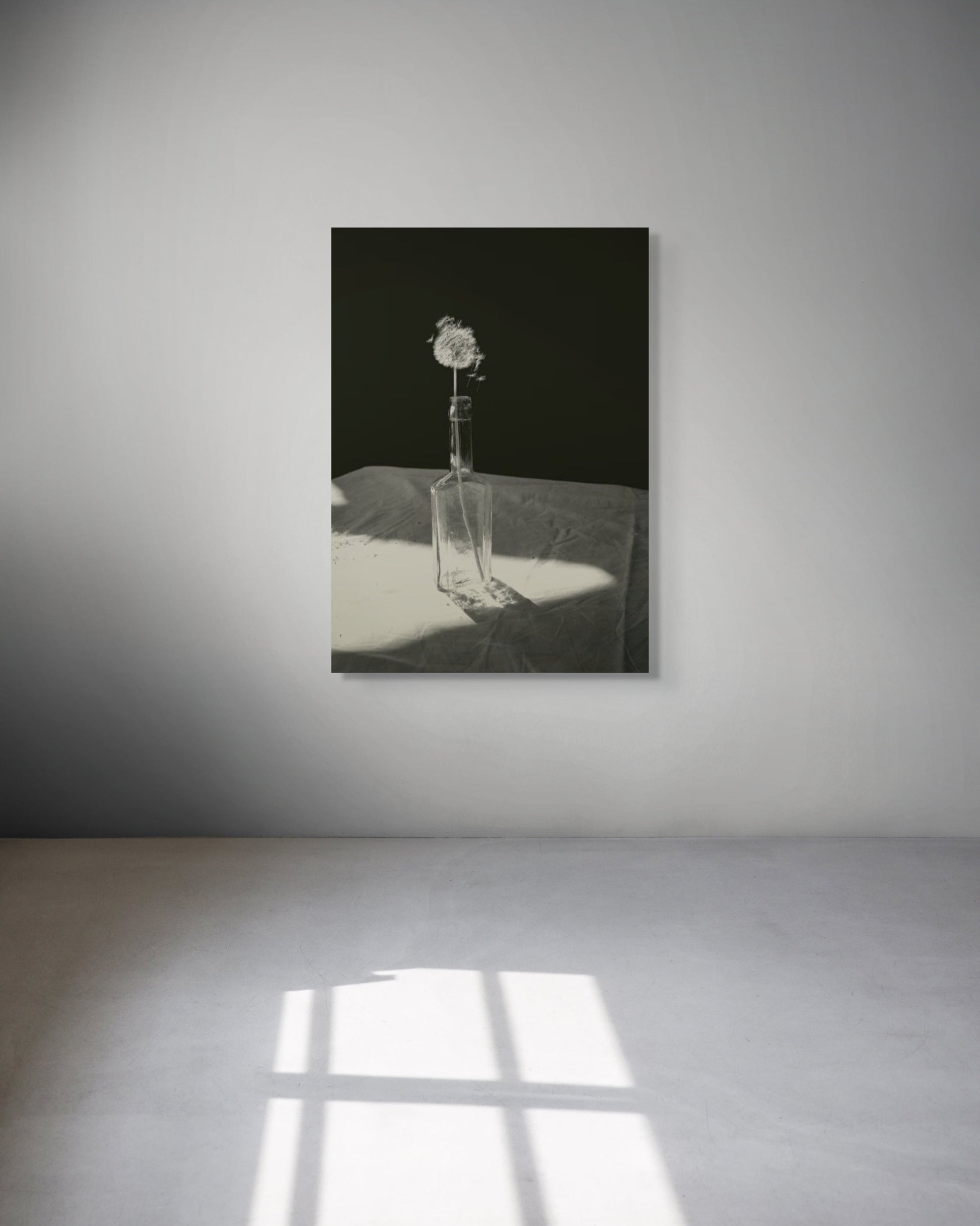  Dandelion by Jonė Reed, framed and ready to hang black and white fine art metal print, limited edition.
