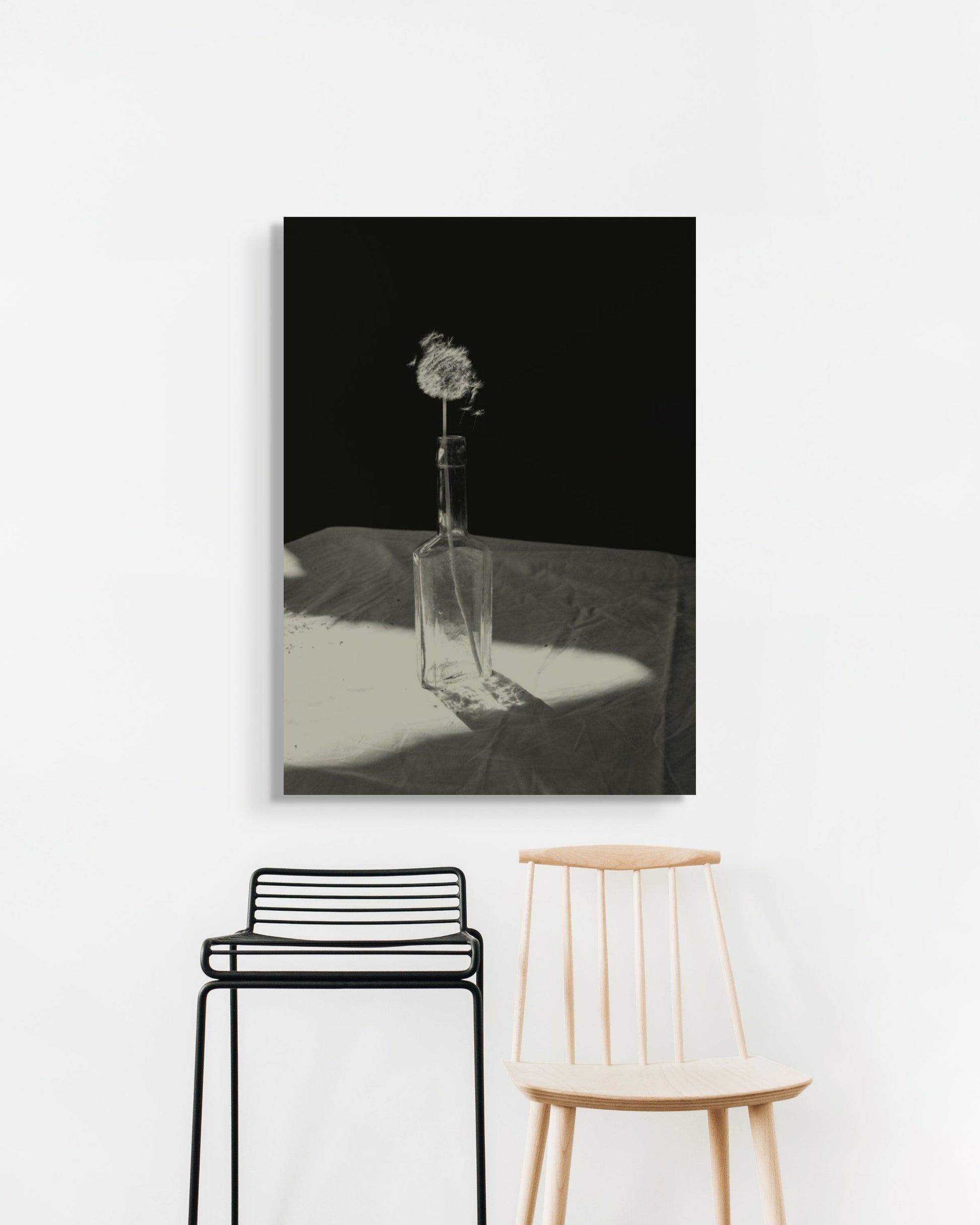  Dandelion by Jonė Reed, framed and ready to hang black and white fine art metal print, limited edition.