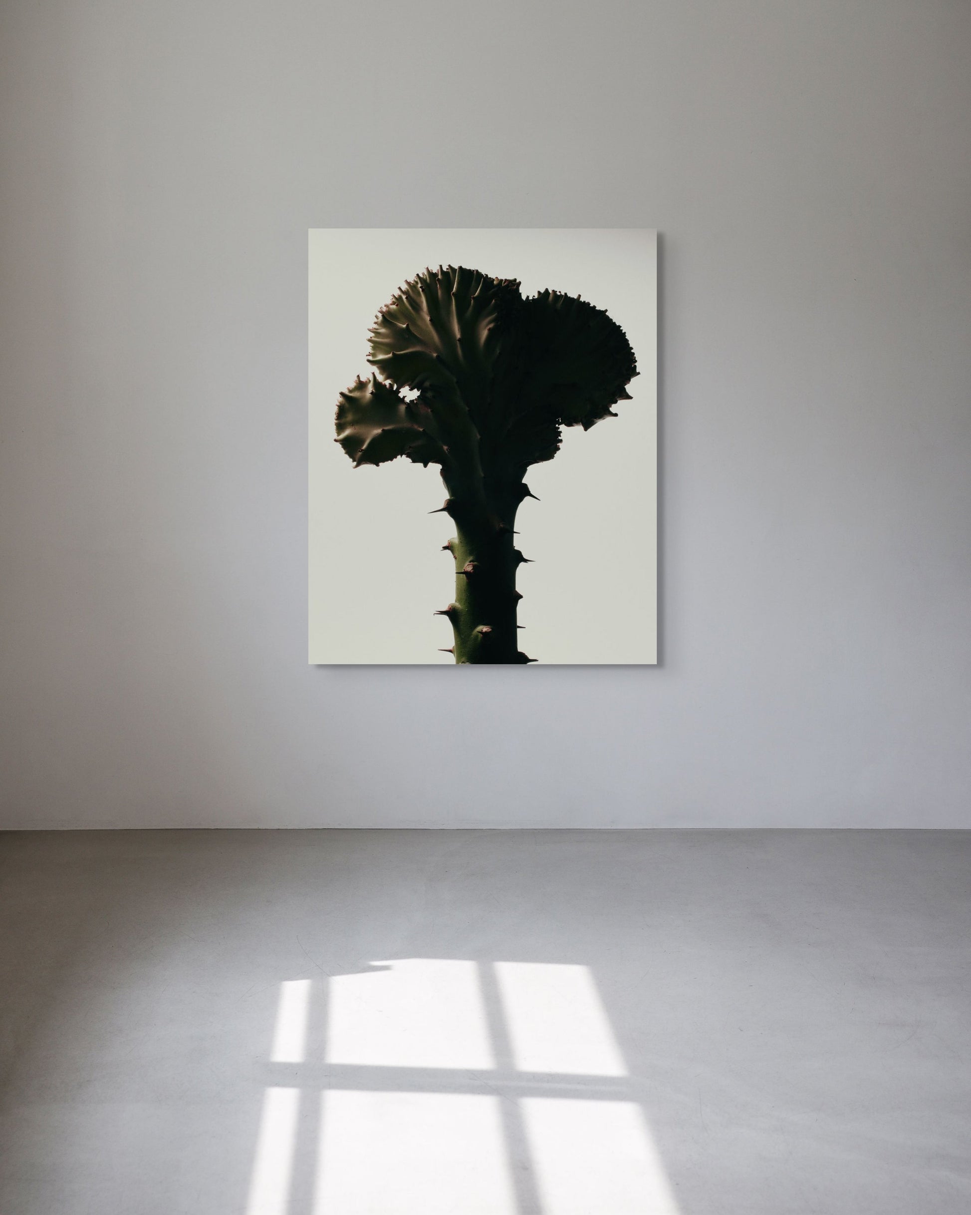Metal print of a cactus on a white wall