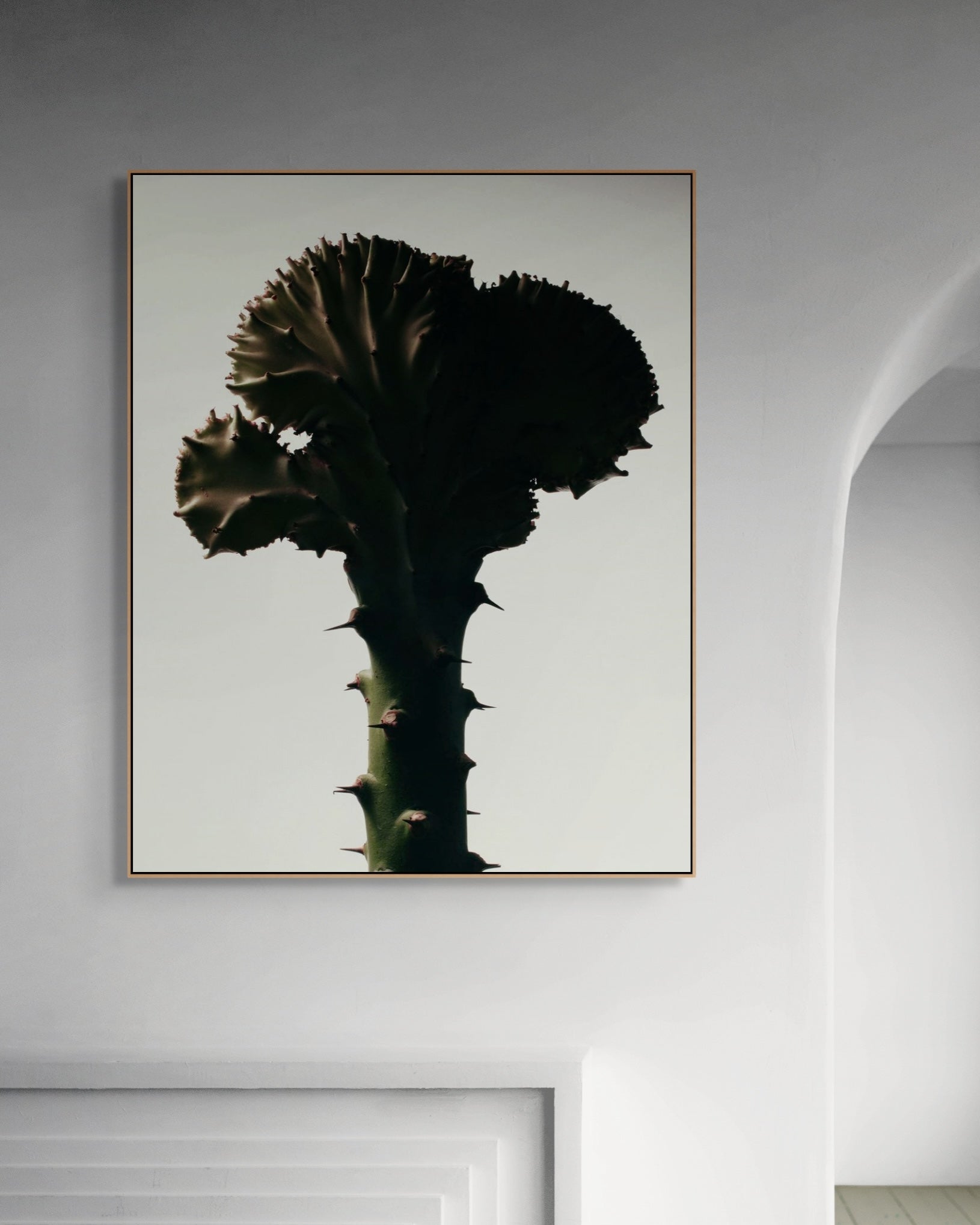 Framed artwork of a cactus on a white wall