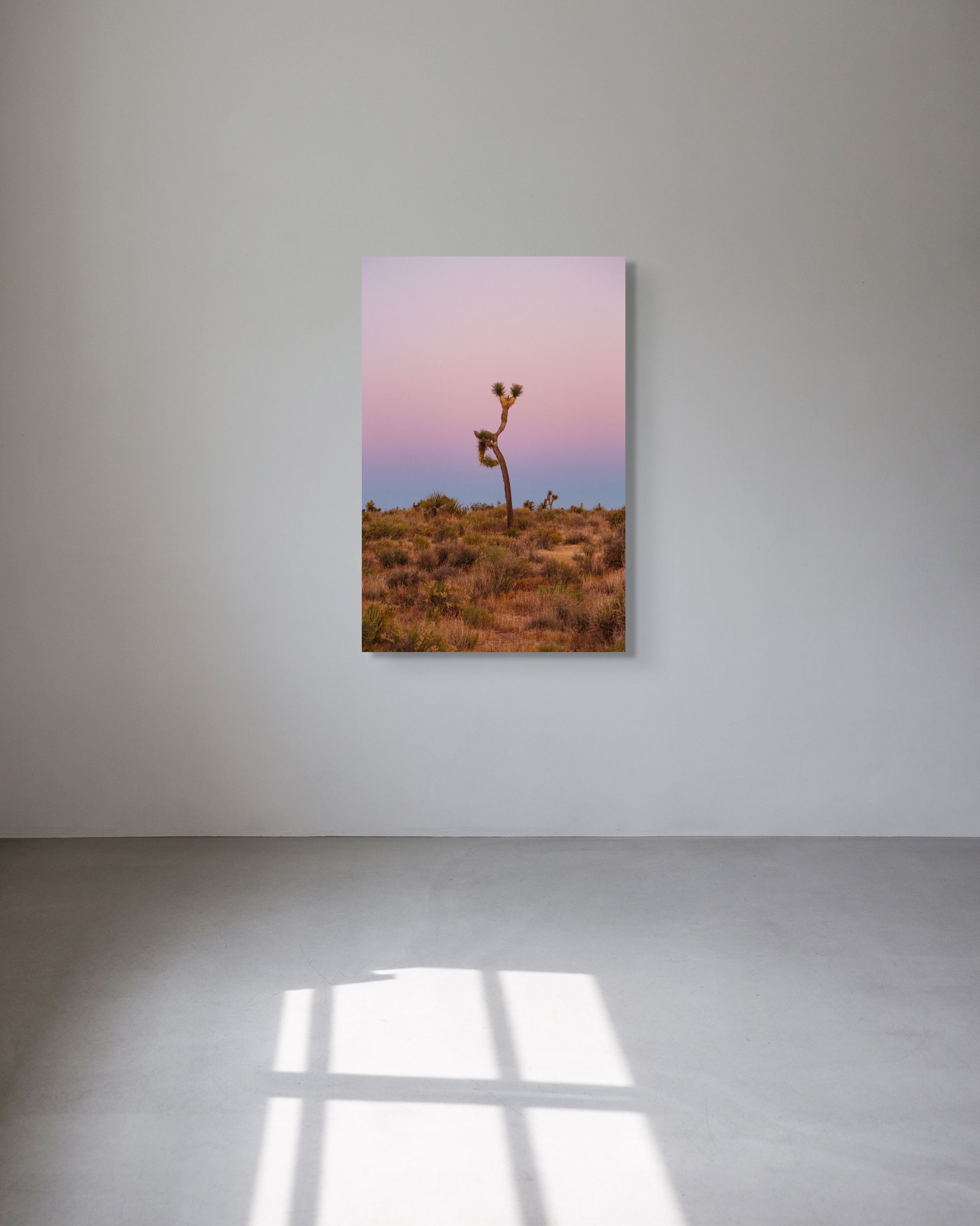 Joshua Tree at Twilight II