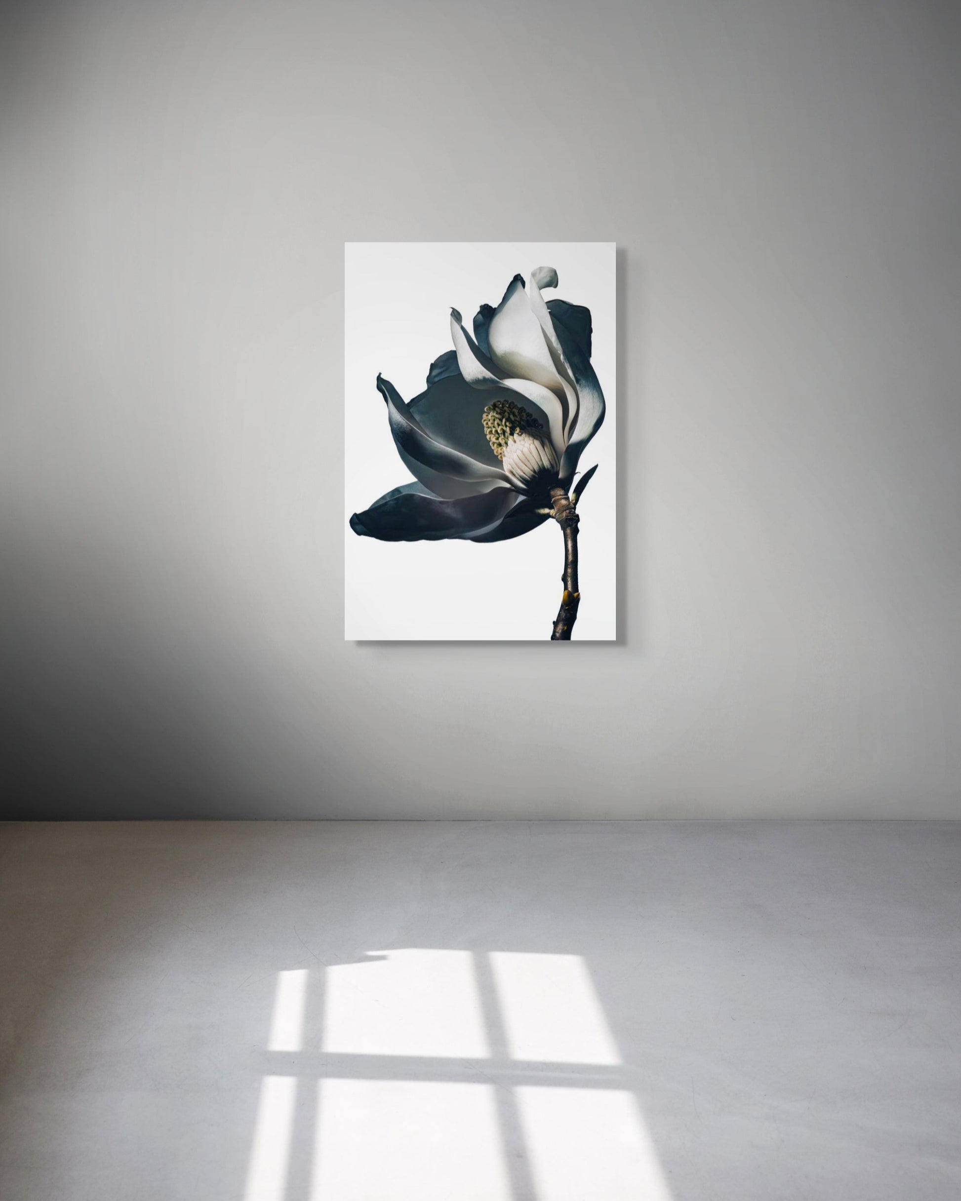 Framed fine art print, Magnolia I by Sivan Roshianu, ready to hang