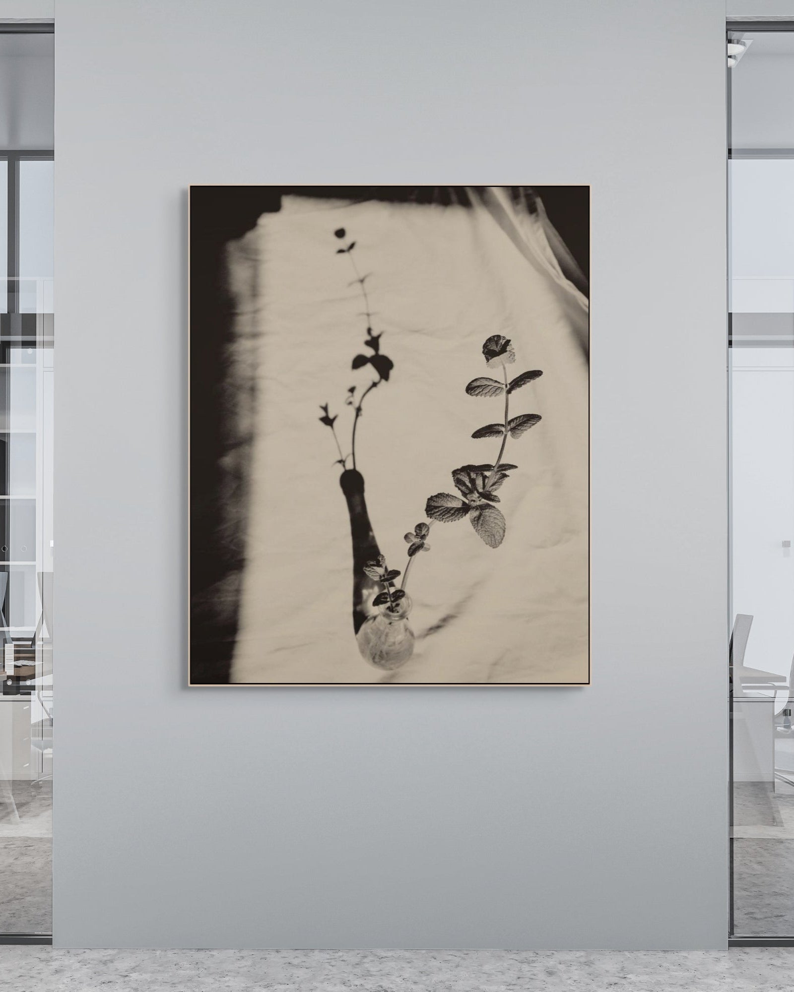 Framed print of a plant in a pot on a wall in an office setting