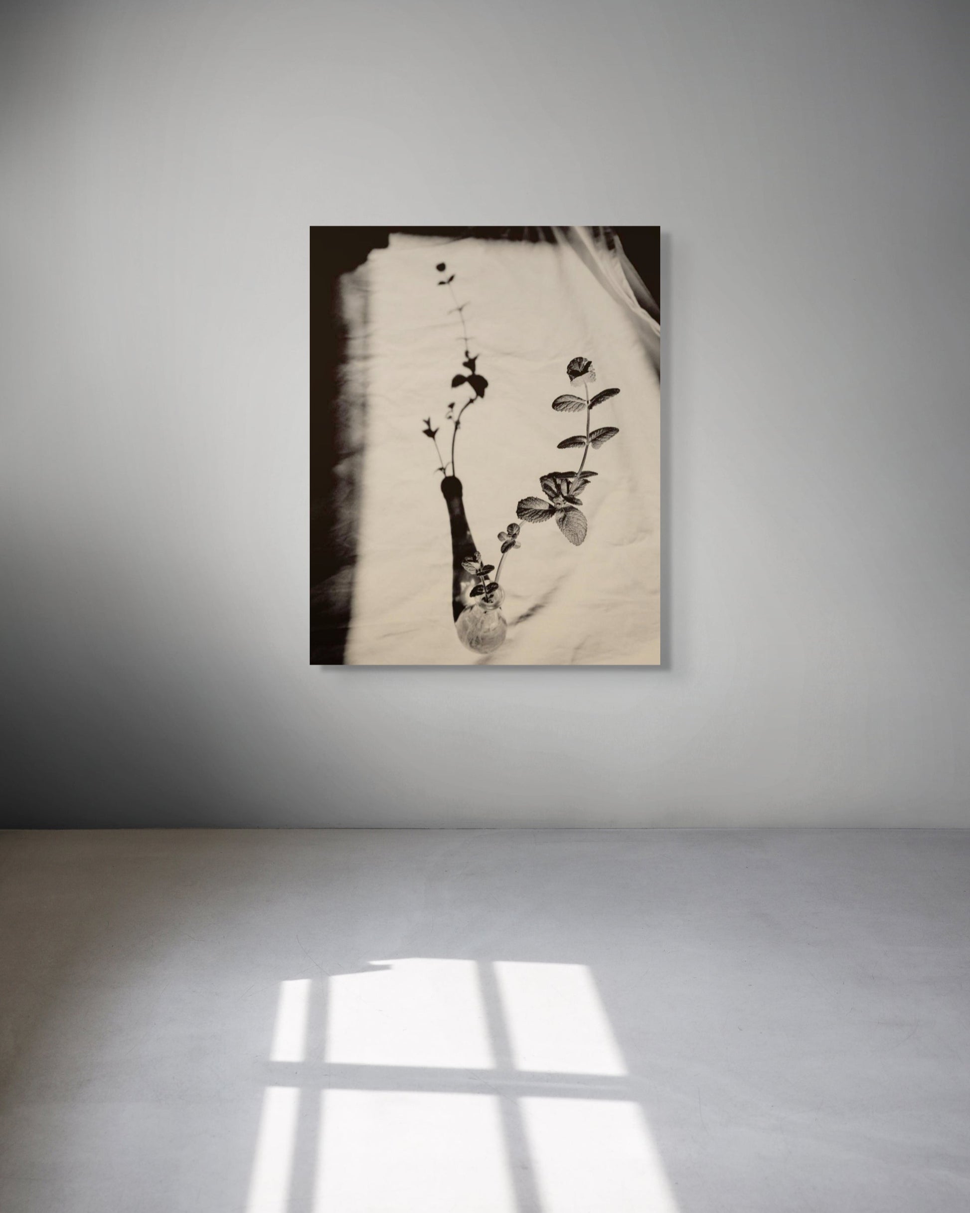 Framed black and white fine art print, Mint by Jonė Reed, ready to hang.
