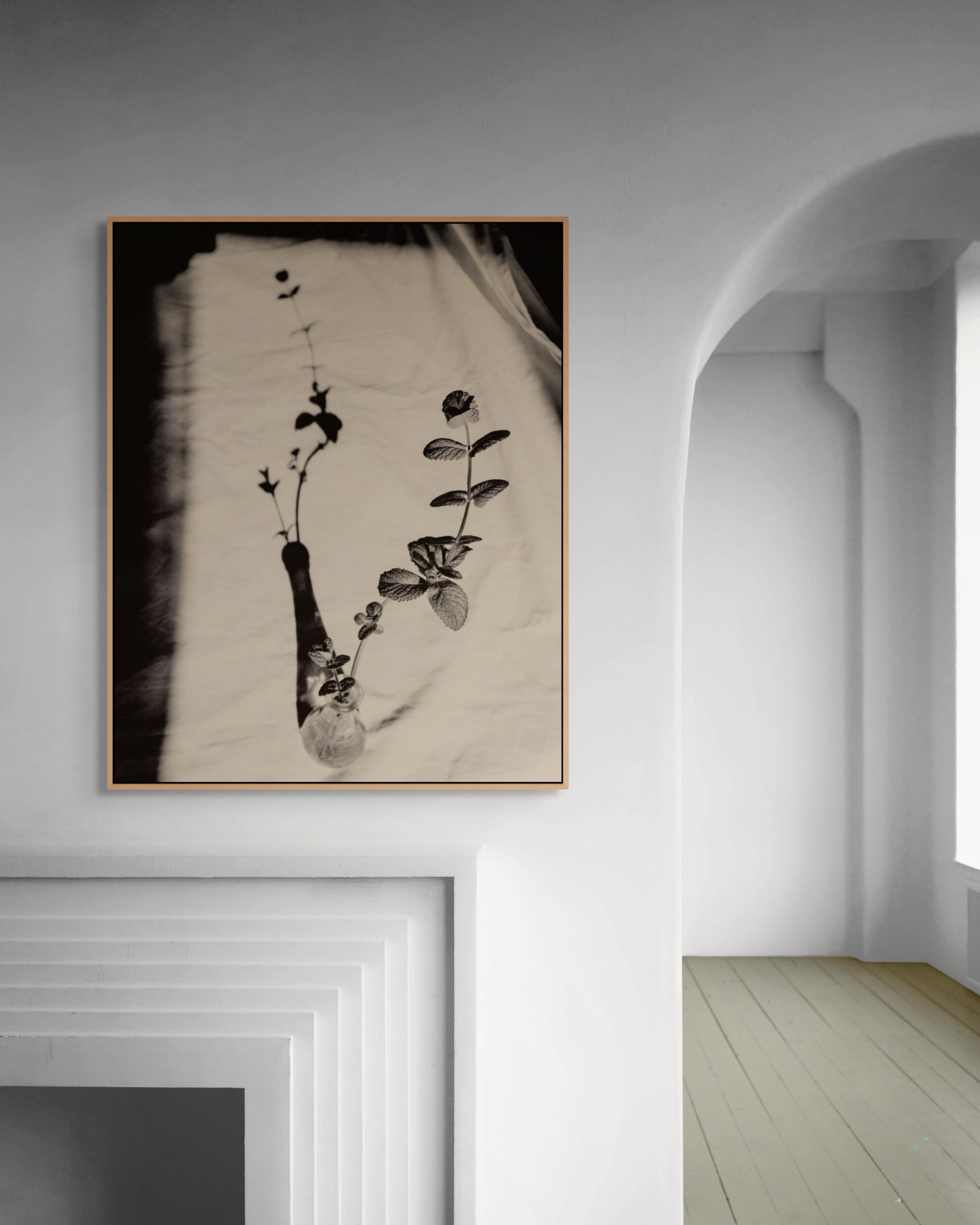 Mint by Jonė Reed – Limited edition black and white fine art photograph hanging on a white wall in a minimalistic room.