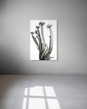 Framed artwork of a mushroom against a white background