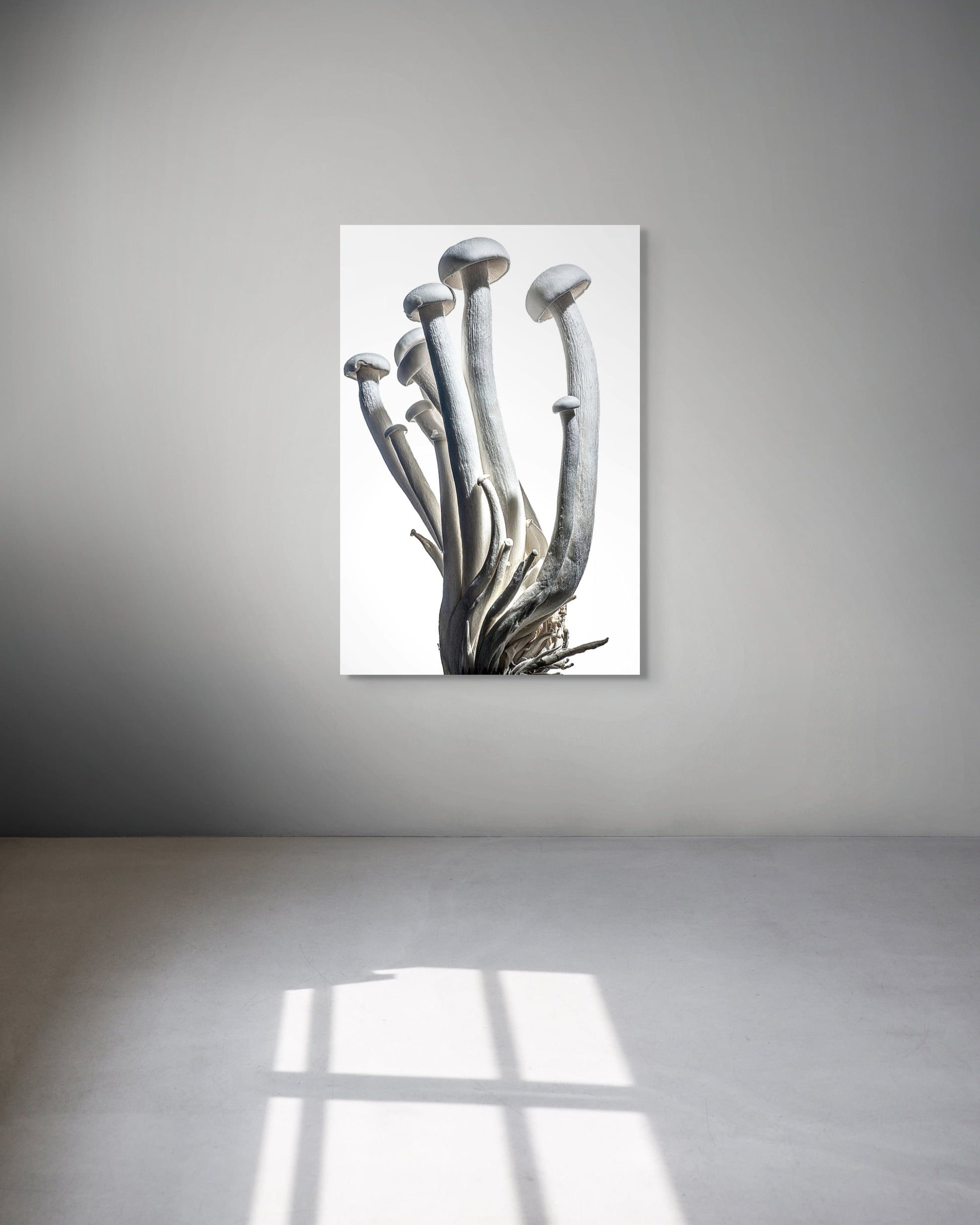 Framed artwork of a mushroom against a white background