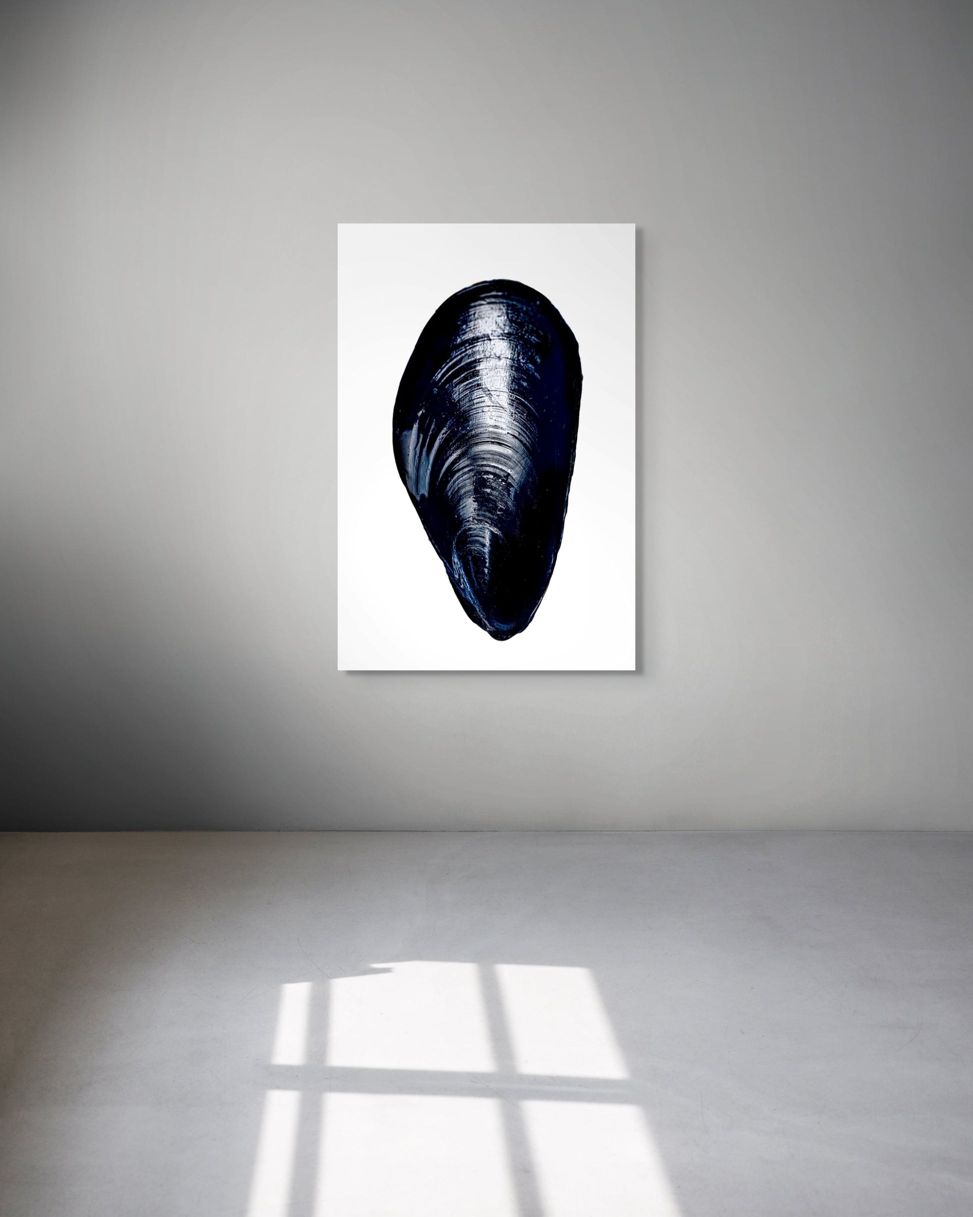 Framed artwork of a mussel shell on a white wall.