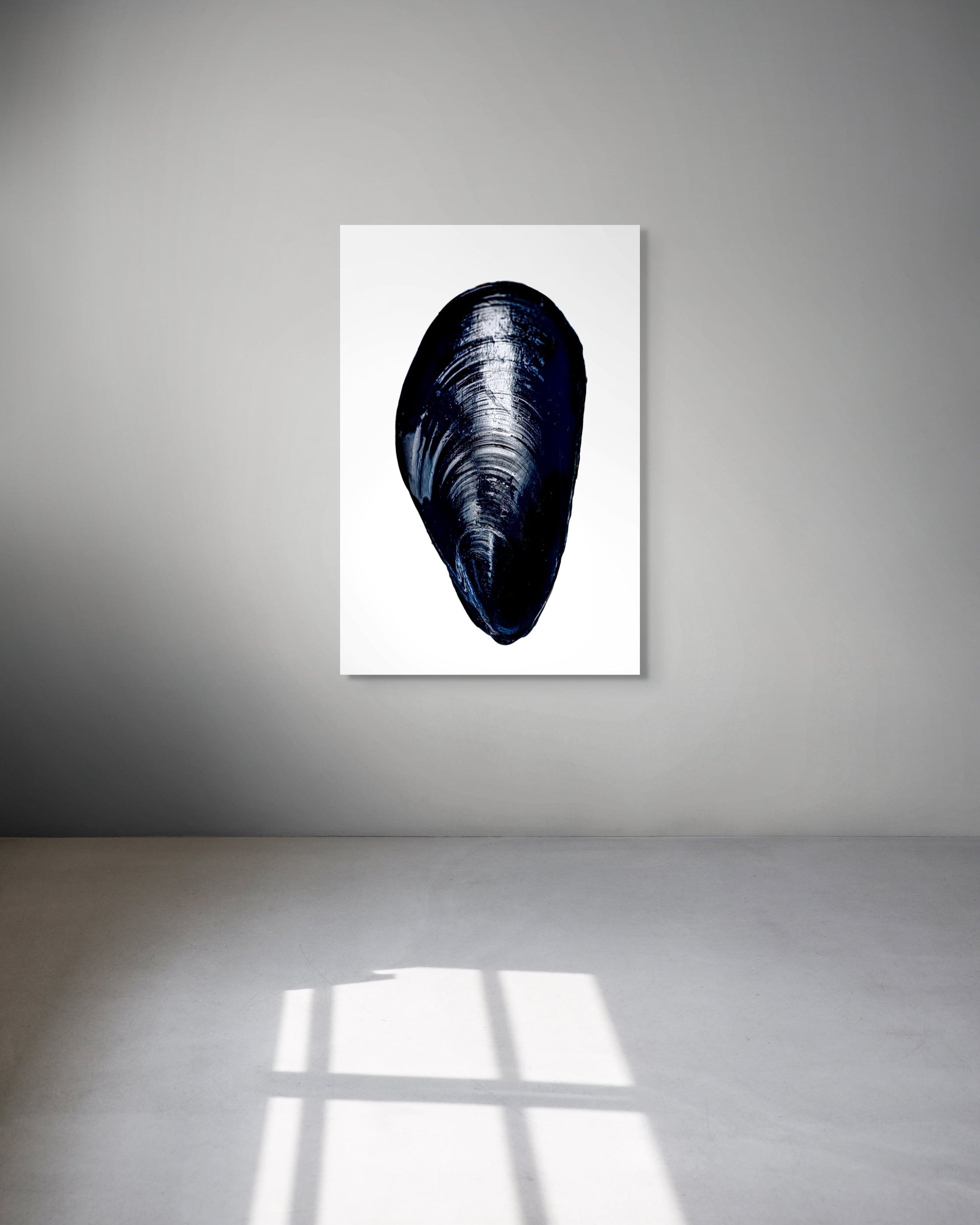Framed artwork of a mussel shell on a white wall.