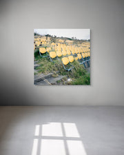 Framed photograph of yellow chairs in a field on a gray wall.
