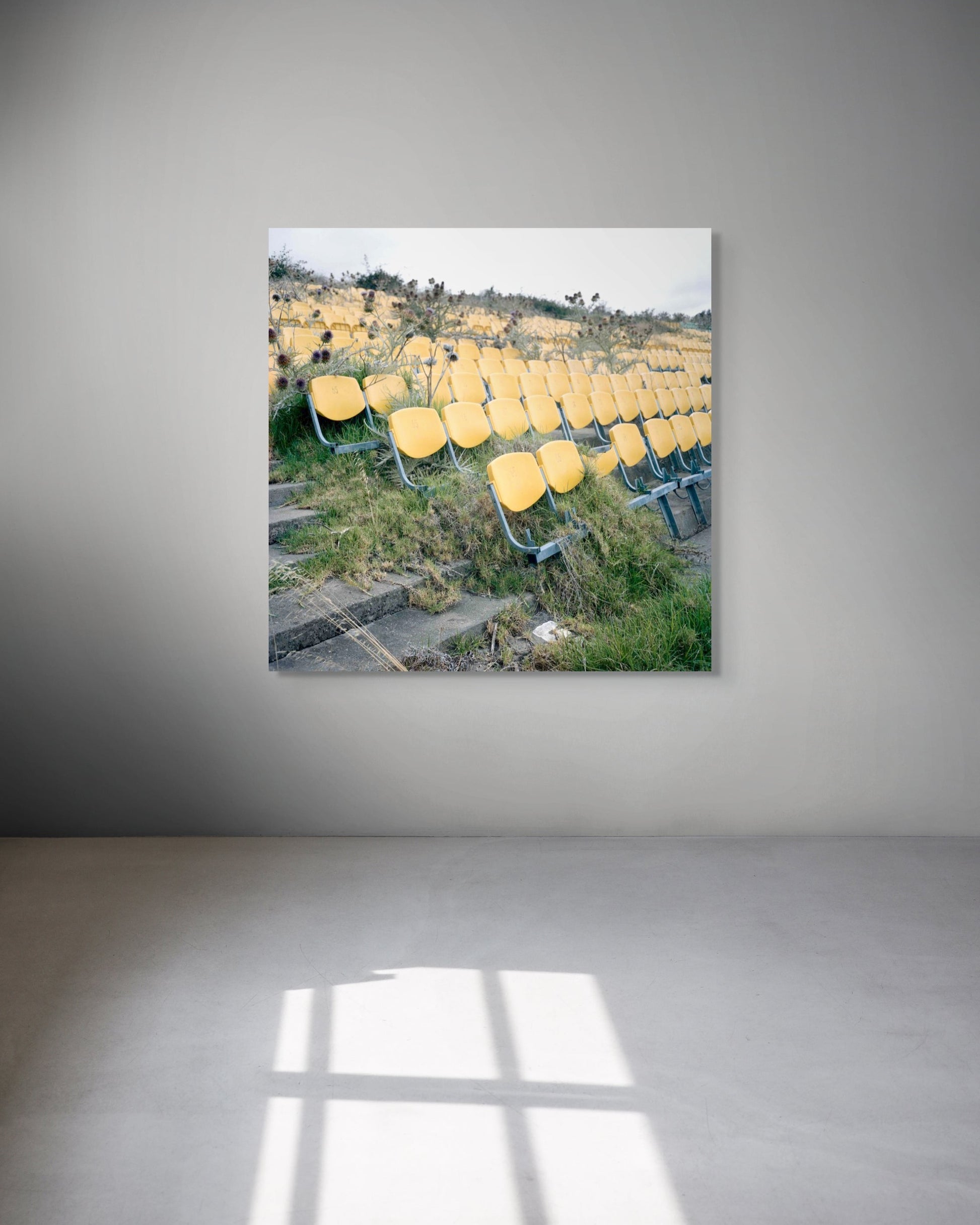 Framed photograph of yellow chairs in a field on a gray wall.