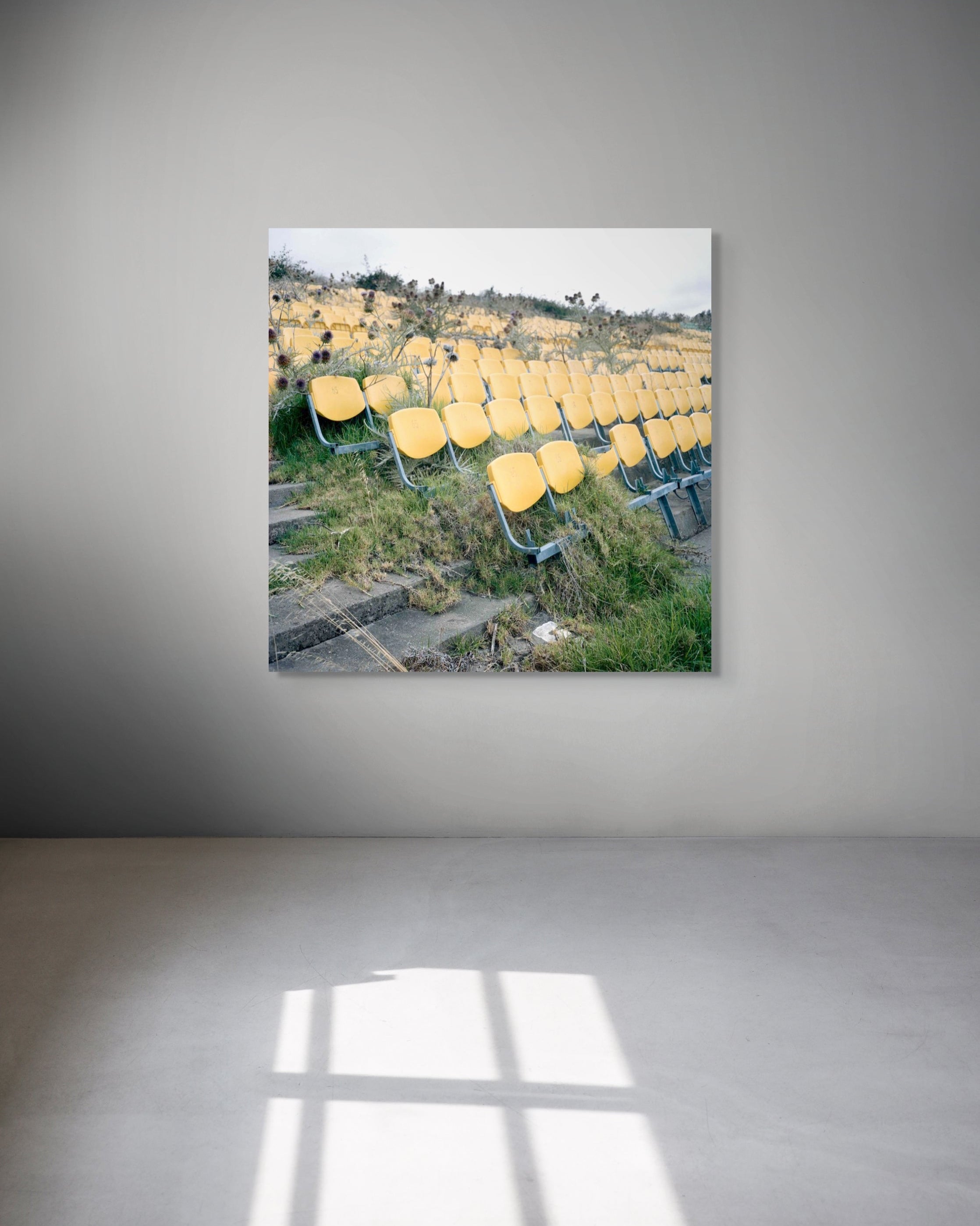 Framed photograph of yellow chairs in a field on a gray wall.