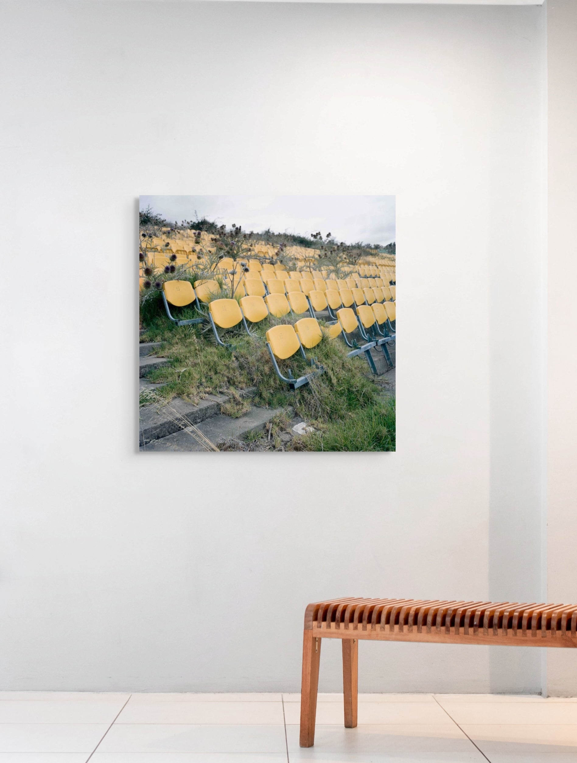 Metal print of yellow chairs on a grassy hill in a modern interior setting.