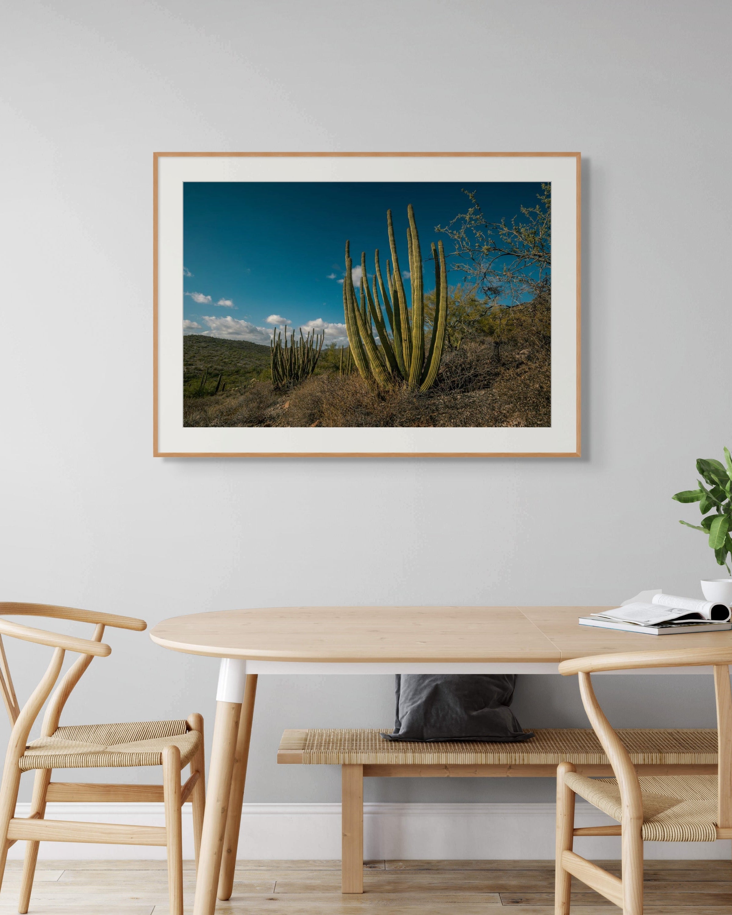 Organ Pipe