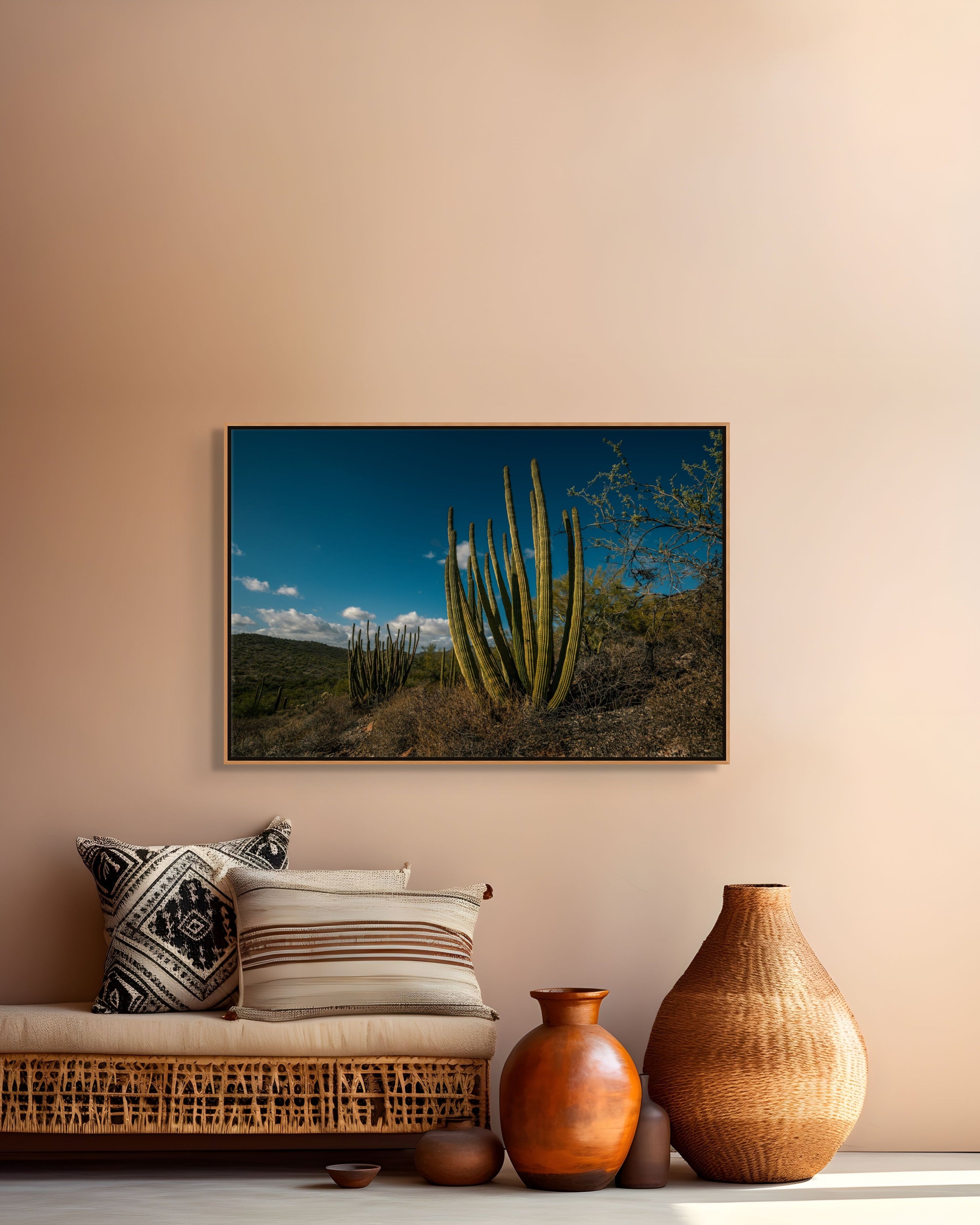 Organ Pipe
