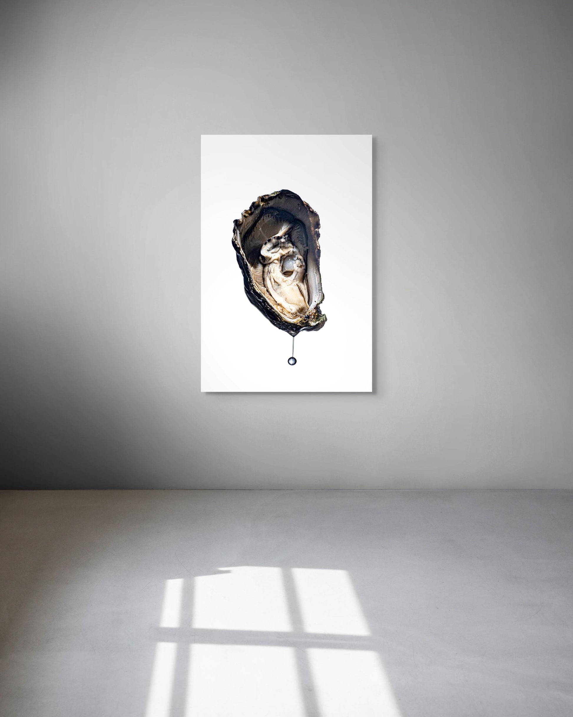 Framed artwork of an oyster on a white wall with a gray floor.