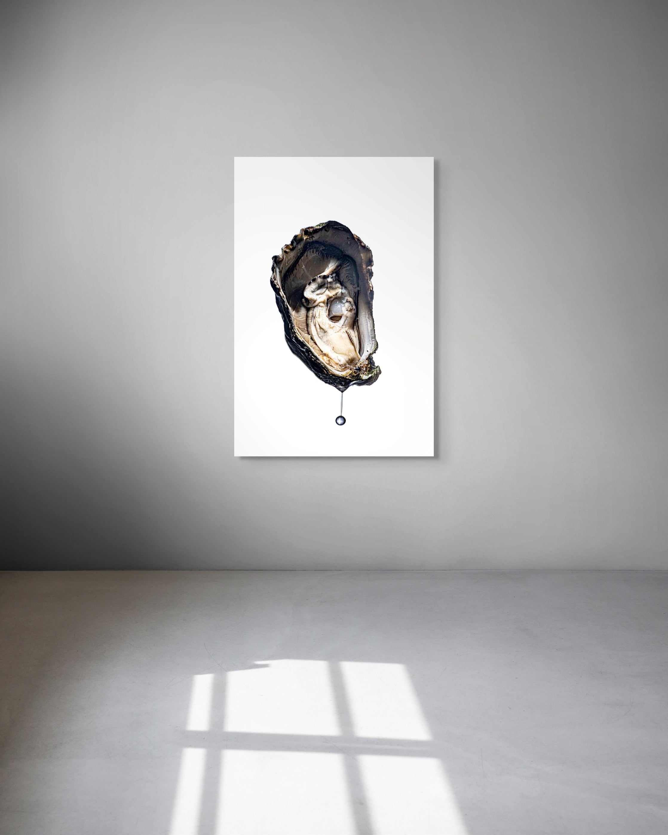 Framed artwork of an oyster on a white wall with a gray floor.