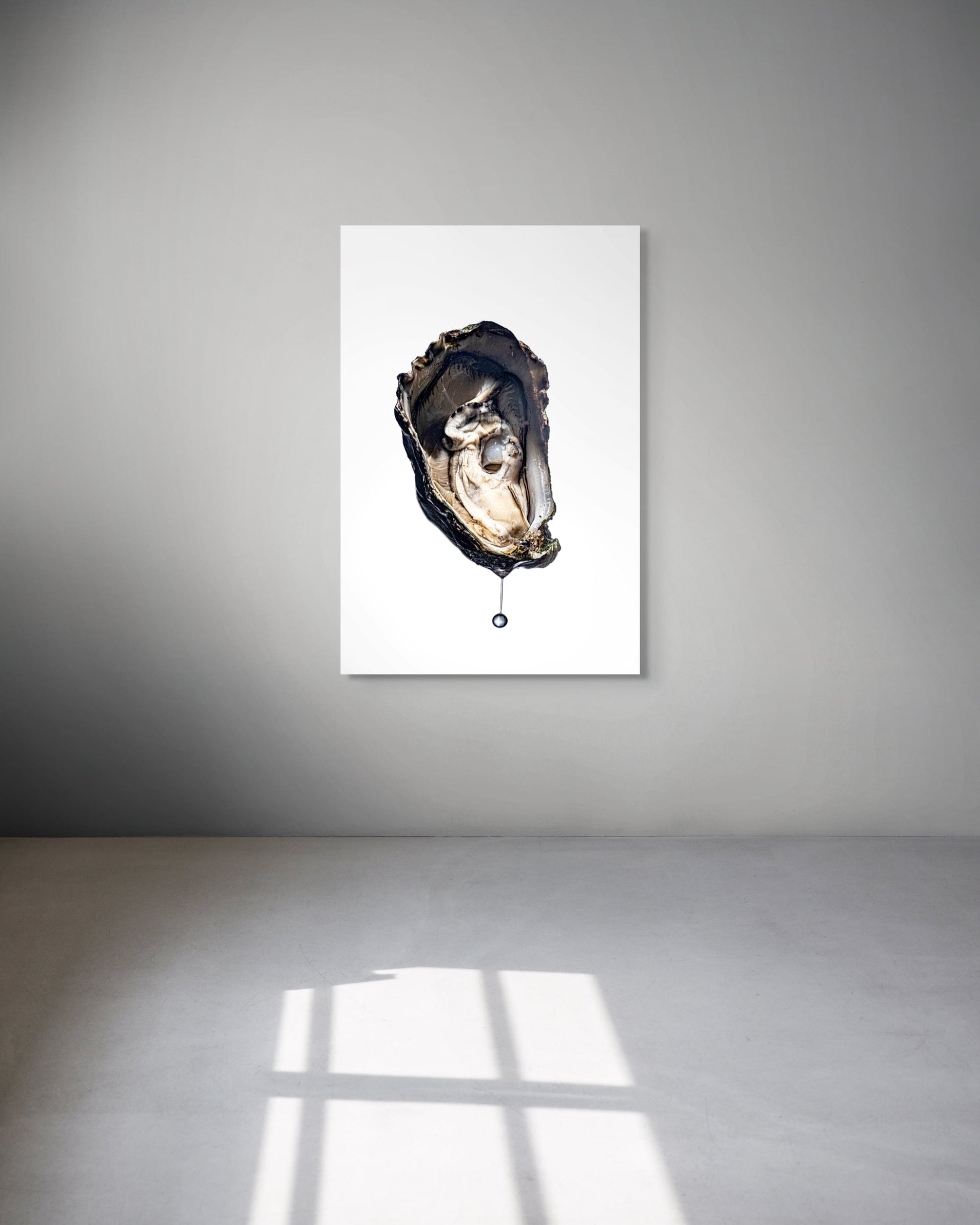 Framed artwork of an oyster on a white wall with a gray floor.