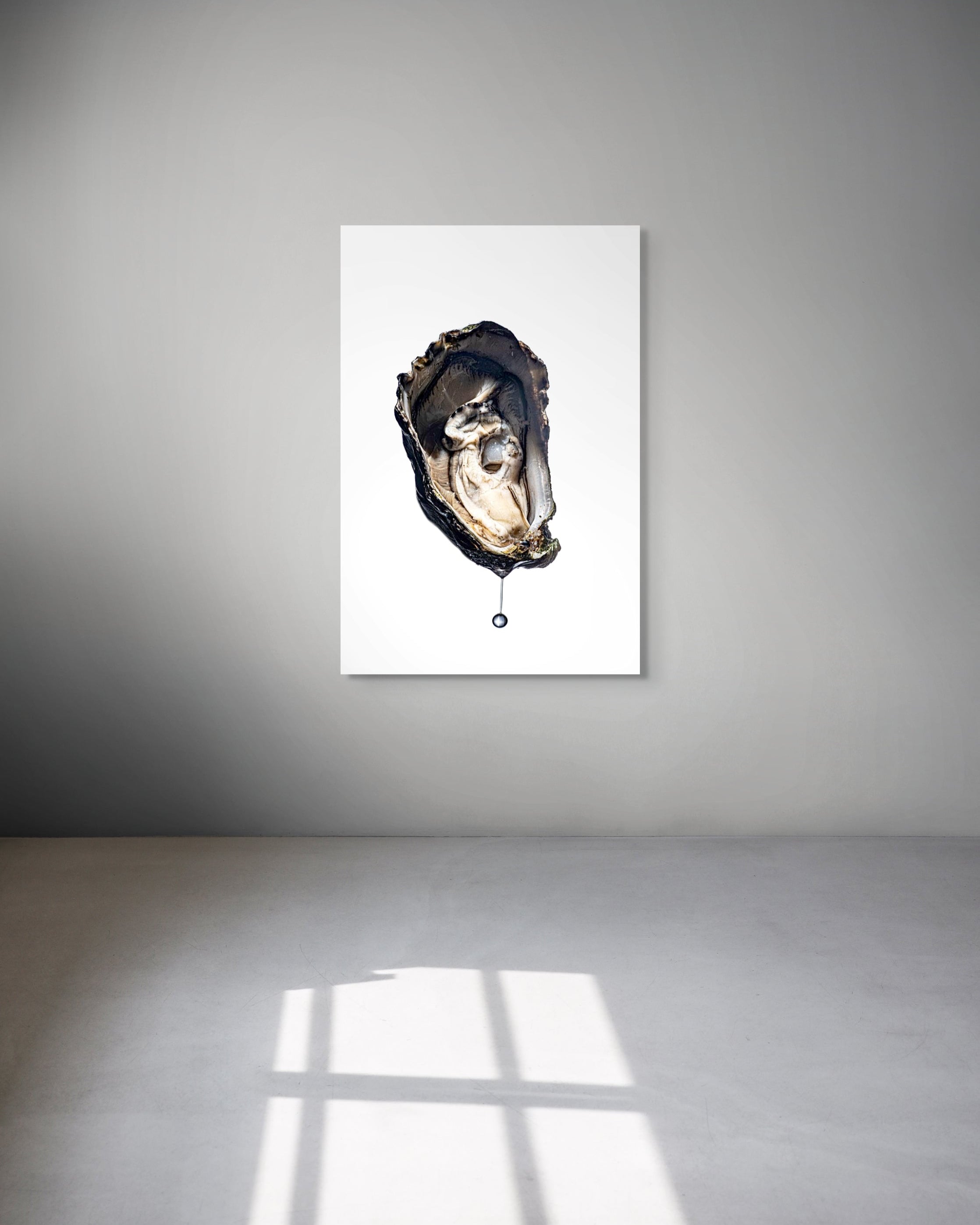 Framed artwork of an oyster on a white wall with a gray floor.