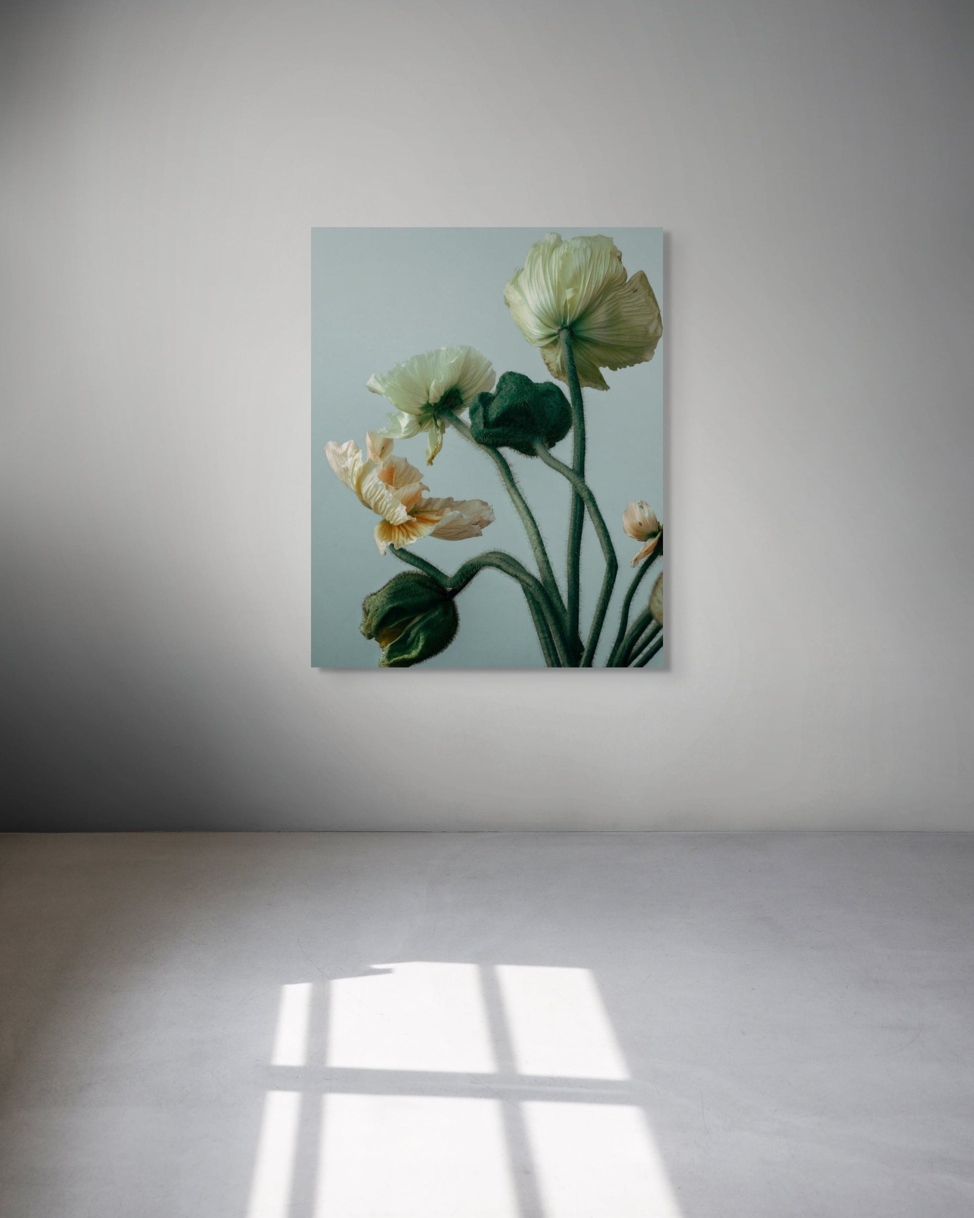 Floral metal print on a white wall with soft lighting