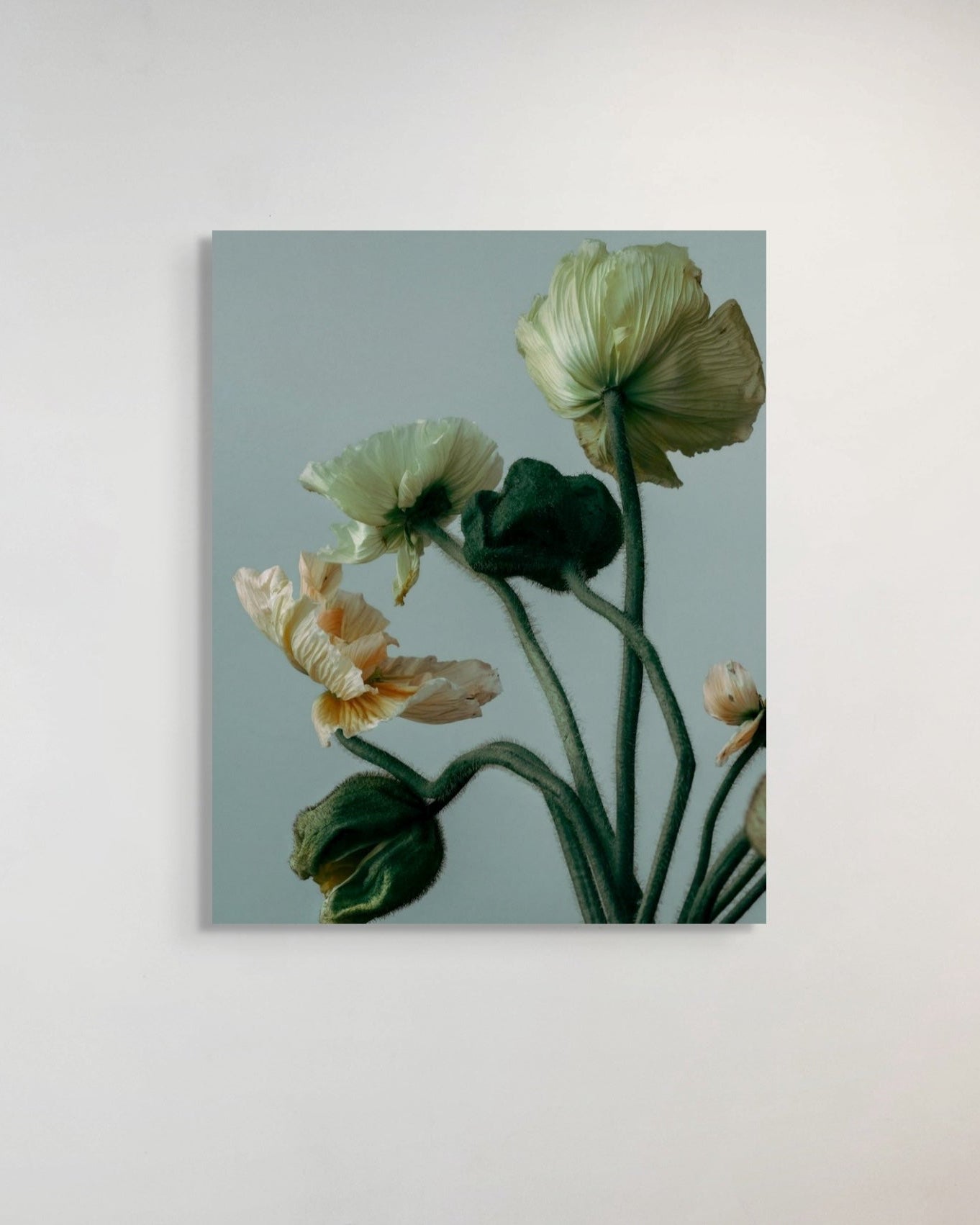 Floral metal print on a light gray background