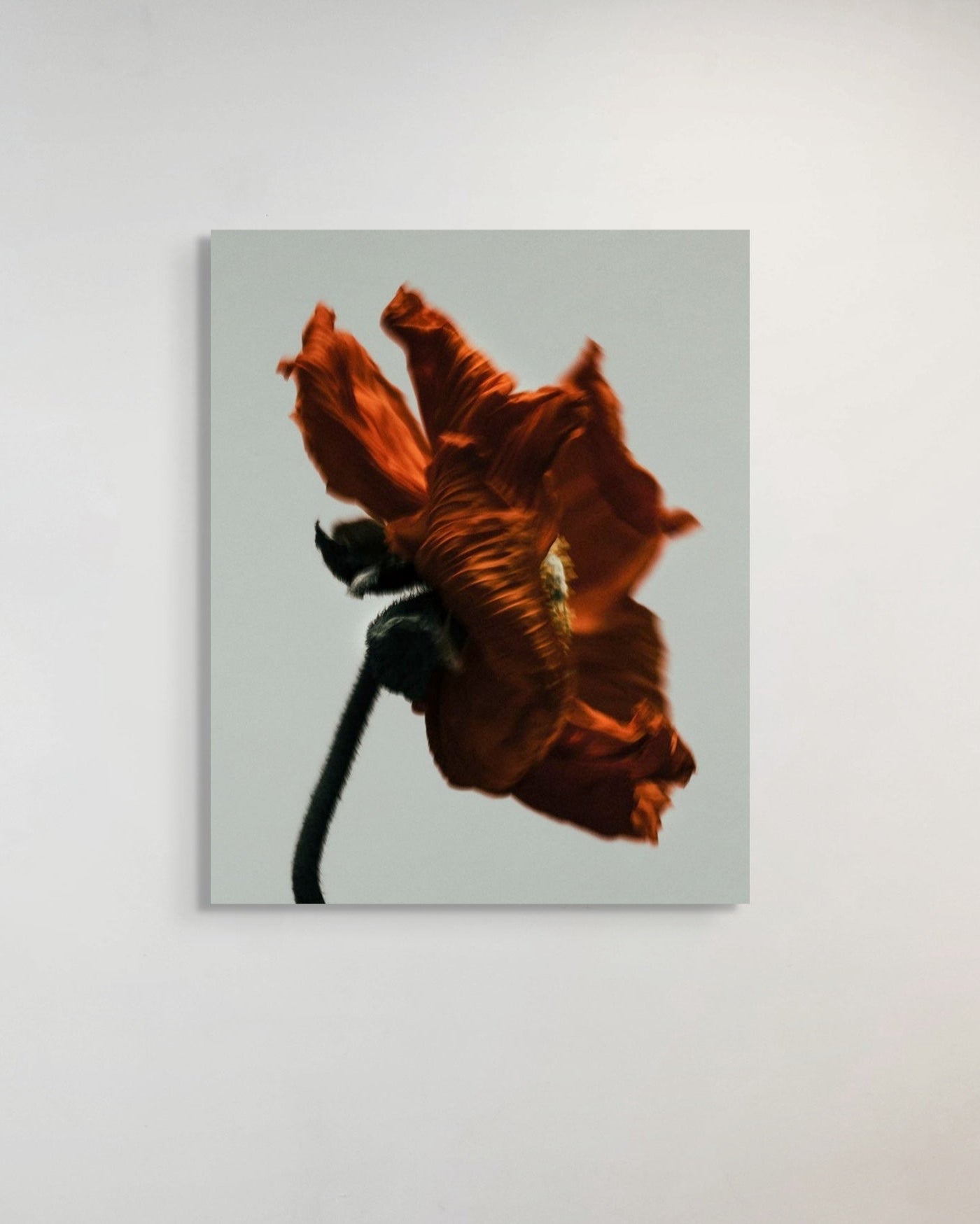 Artistic depiction of a wilted flower on a light gray background