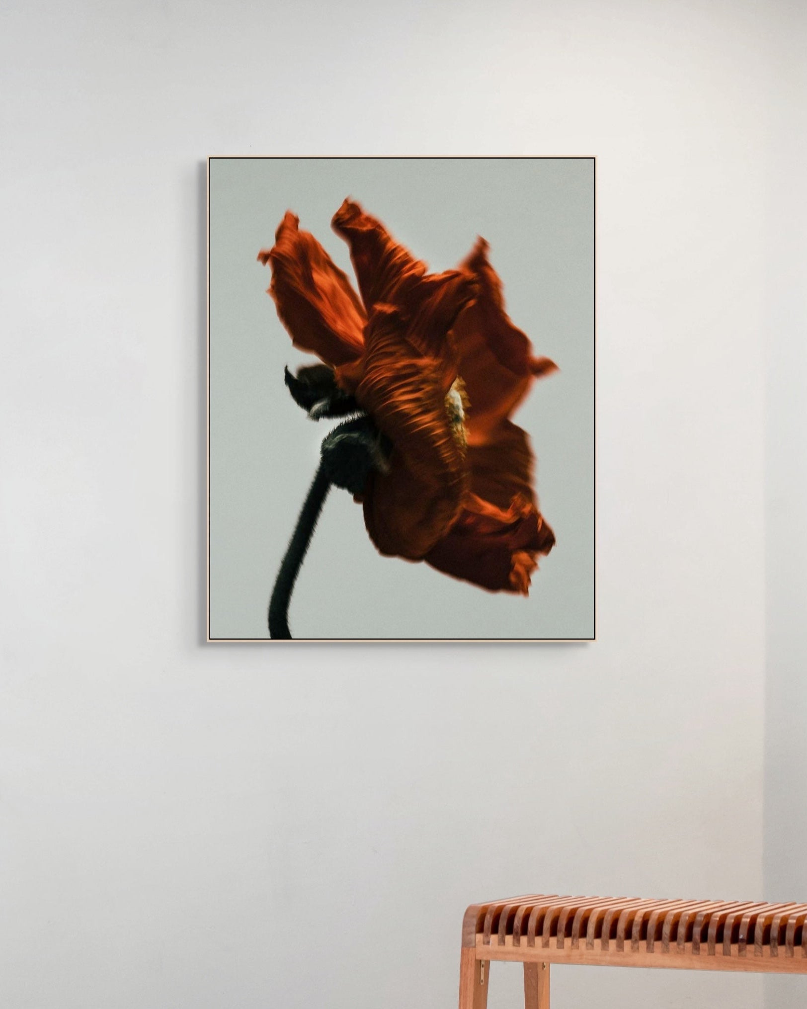 Framed artwork of a red flower on a white wall with a wooden bench below.